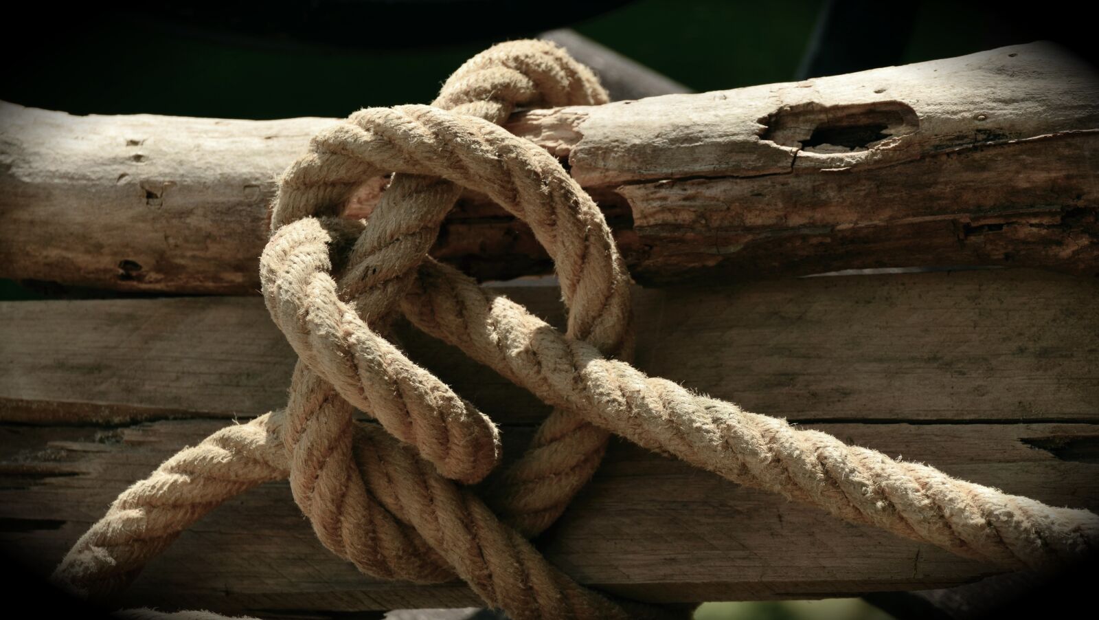 Nikon D5100 sample photo. Rope, natural rope, knot photography