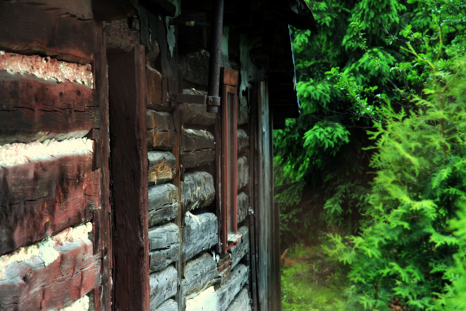Canon EOS 50D sample photo. Cottage, old cottage, wooden photography