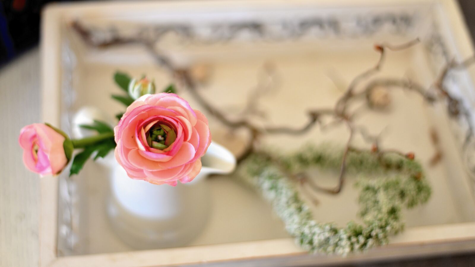 Nikon D610 sample photo. Ranunculus, blossom, bloom photography
