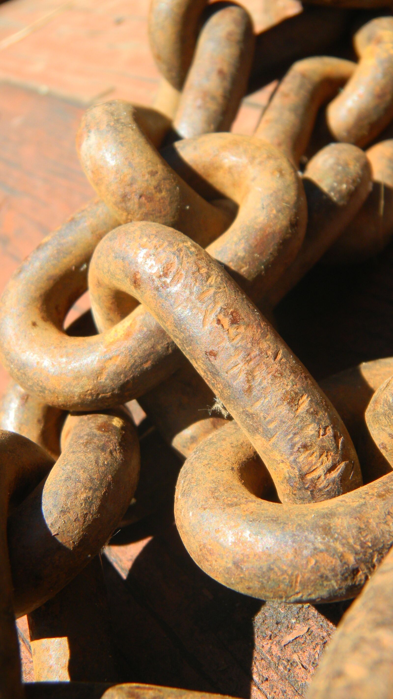 Nikon Coolpix S70 sample photo. Chain, rust, up close photography