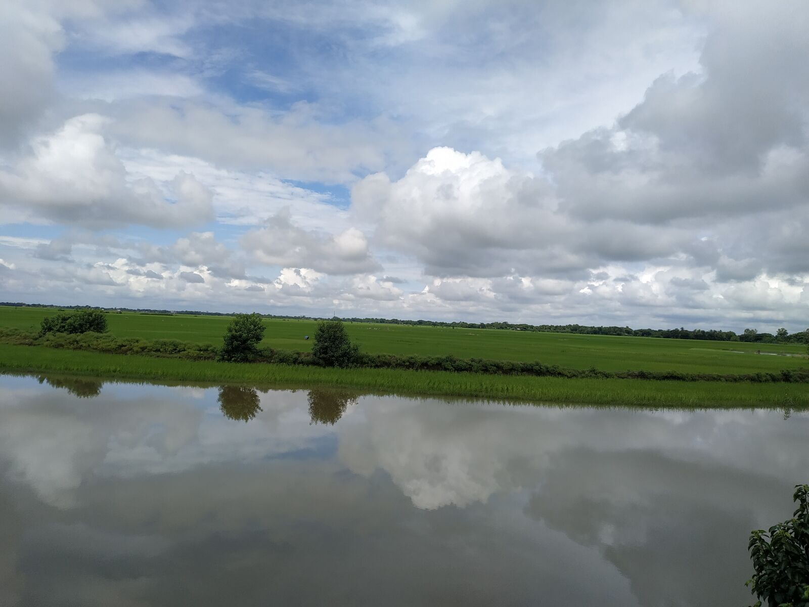 Xiaomi Redmi Note 6 Pro sample photo. Cloud, natur, natural picture photography