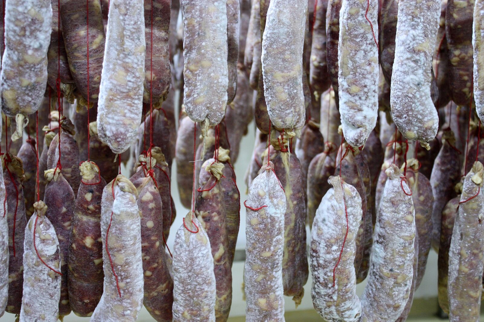 Canon EOS 450D (EOS Rebel XSi / EOS Kiss X2) sample photo. Salting, pork, nature photography