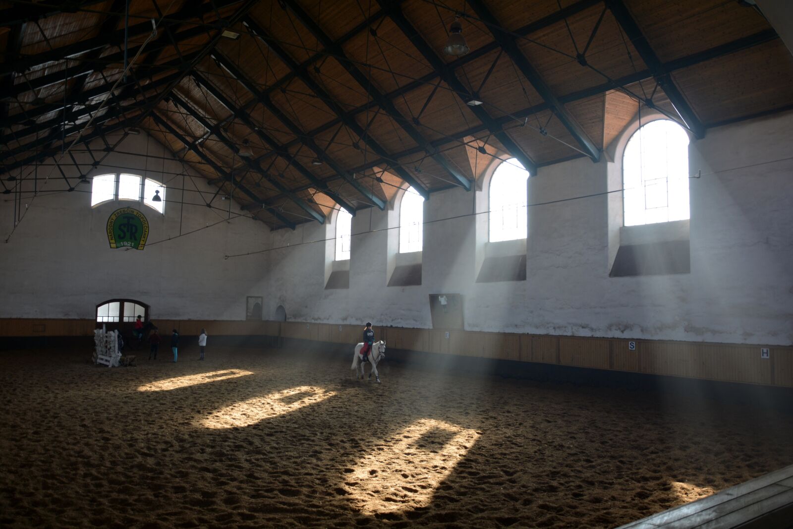 Nikon D5200 sample photo. Oregon, horses, horse photography