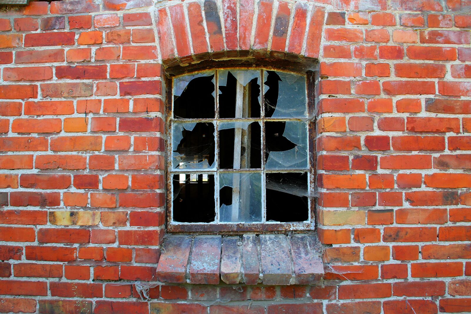 Canon EOS 1100D (EOS Rebel T3 / EOS Kiss X50) sample photo. Wall, brick, window photography