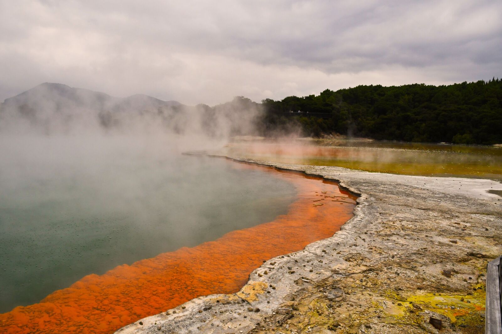 Nikon D500 sample photo. New zealand, landscape, rotorua photography
