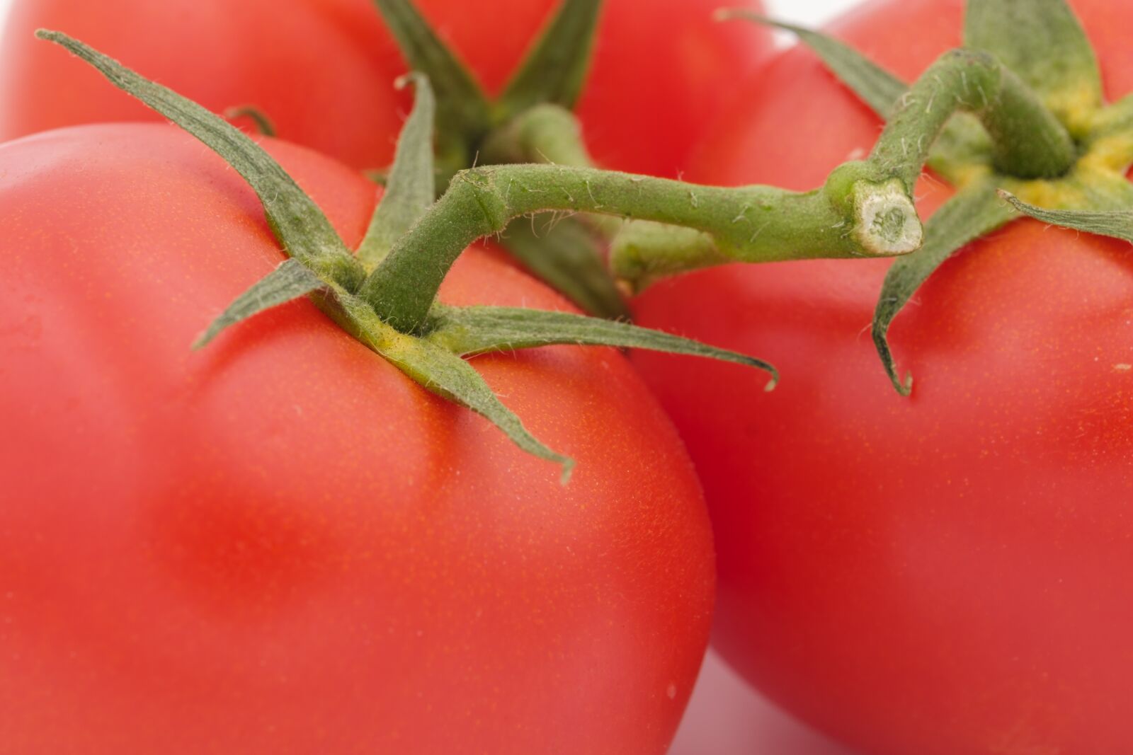 Fujifilm X-T2 + Fujifilm XF 80mm F2.8 R LM OIS WR Macro sample photo. Tomatoes, vegetables, on the photography
