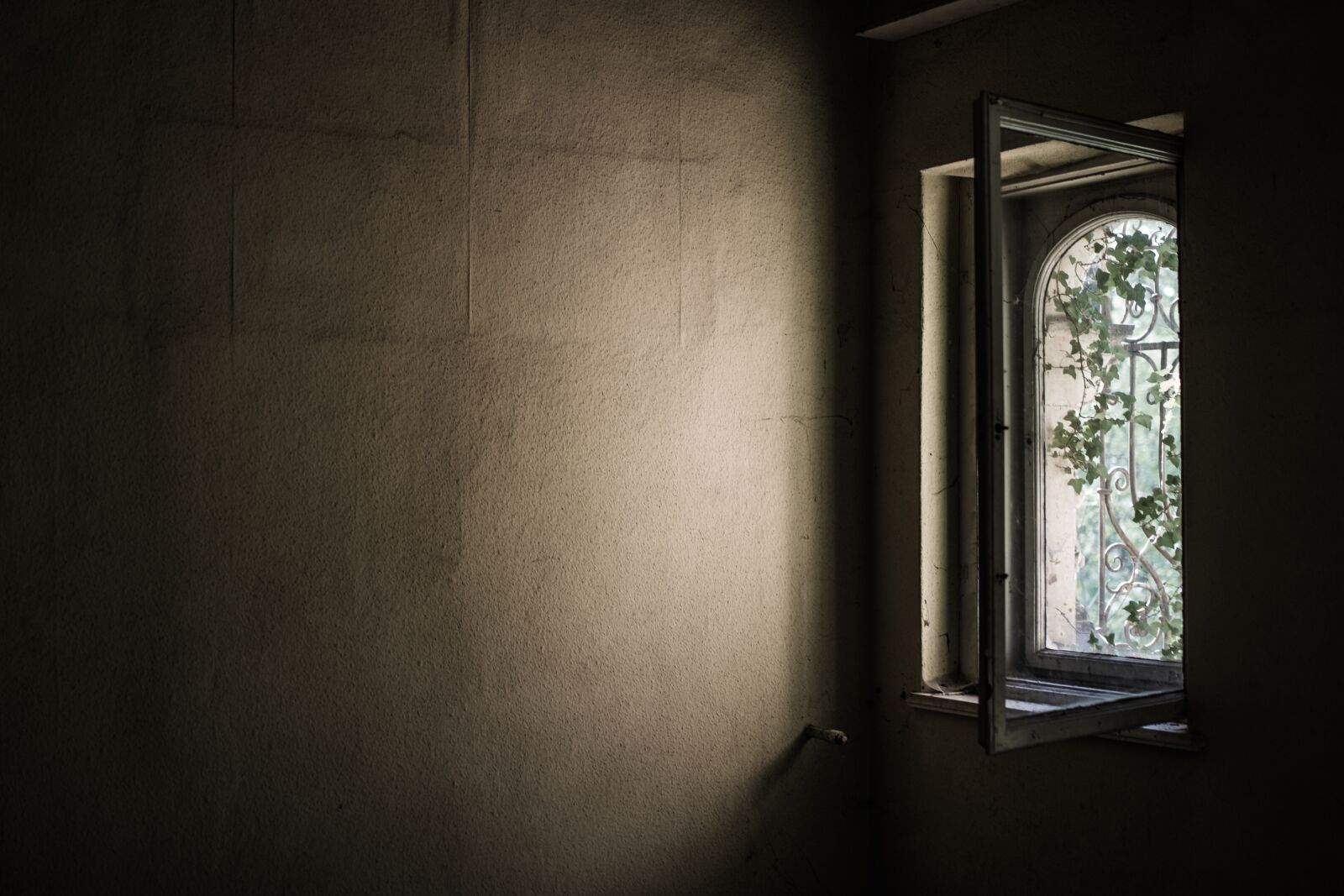 Nikon D5200 sample photo. Window, old, abandoned photography