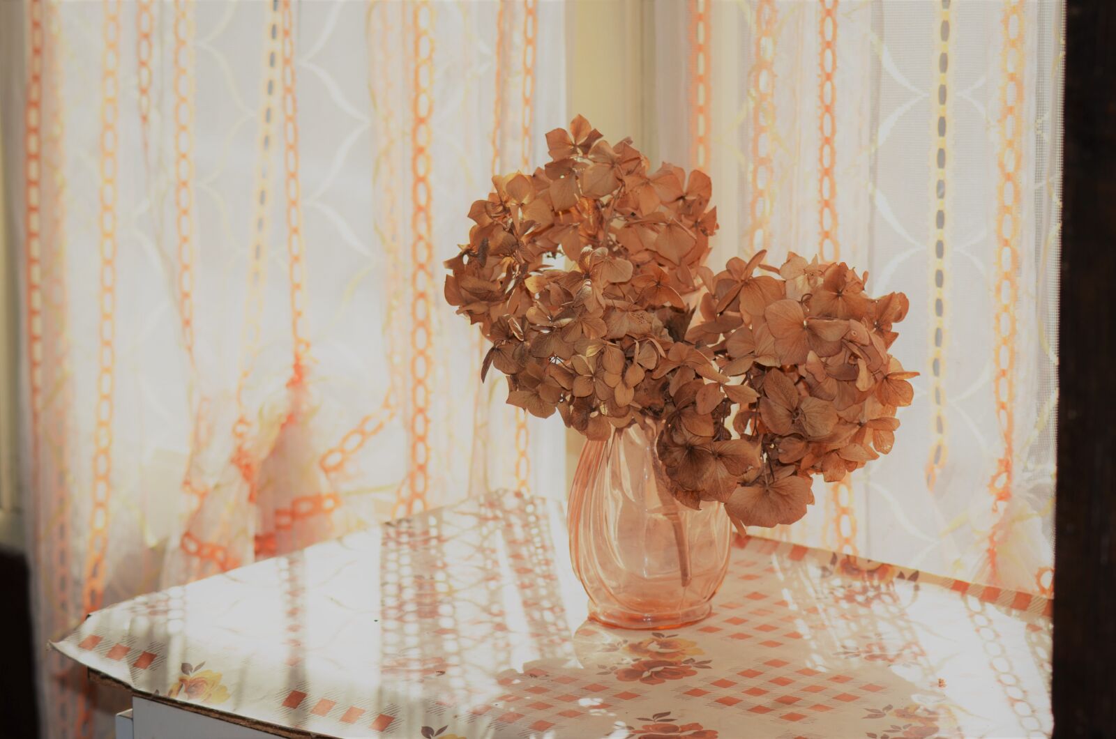 Nikon D5100 sample photo. Flowers, dried flowers, bouquet photography