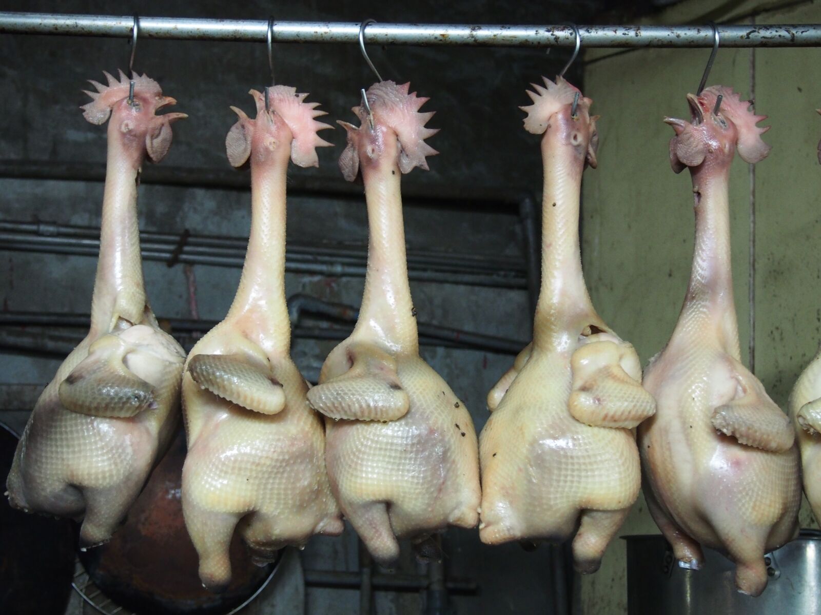 Olympus PEN E-PL6 sample photo. Hen, cooked chicken, taiwan photography