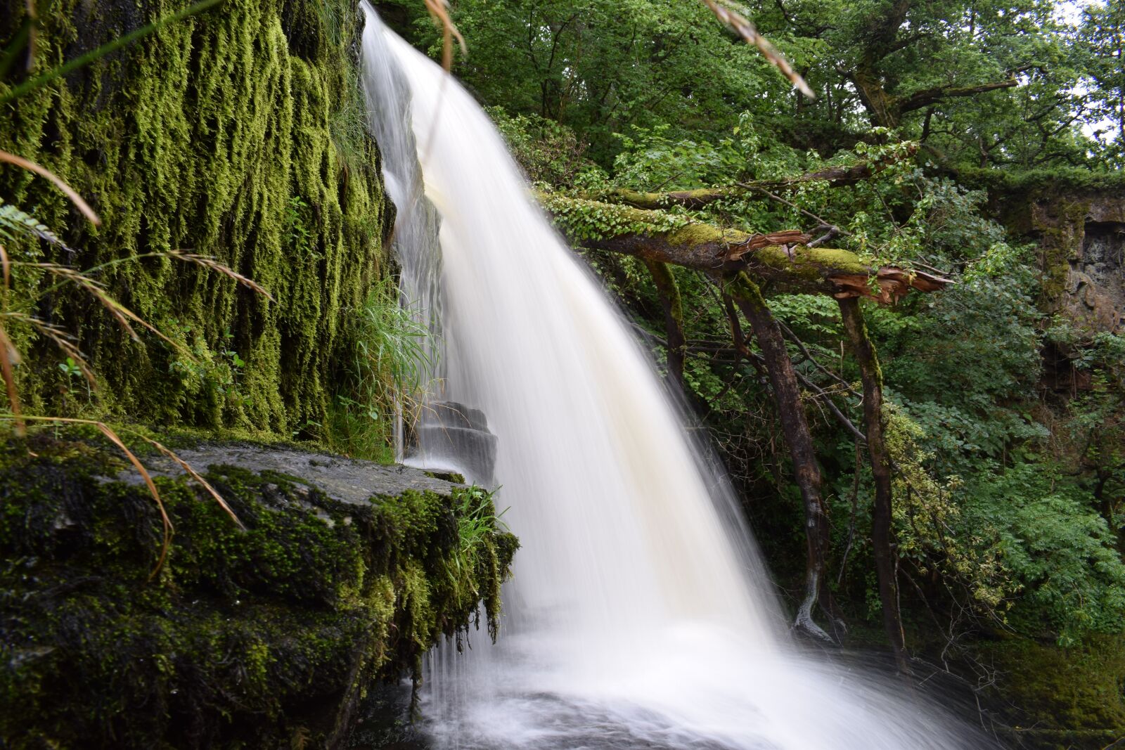 Nikon D3300 sample photo. Waterfall, forest, creek photography