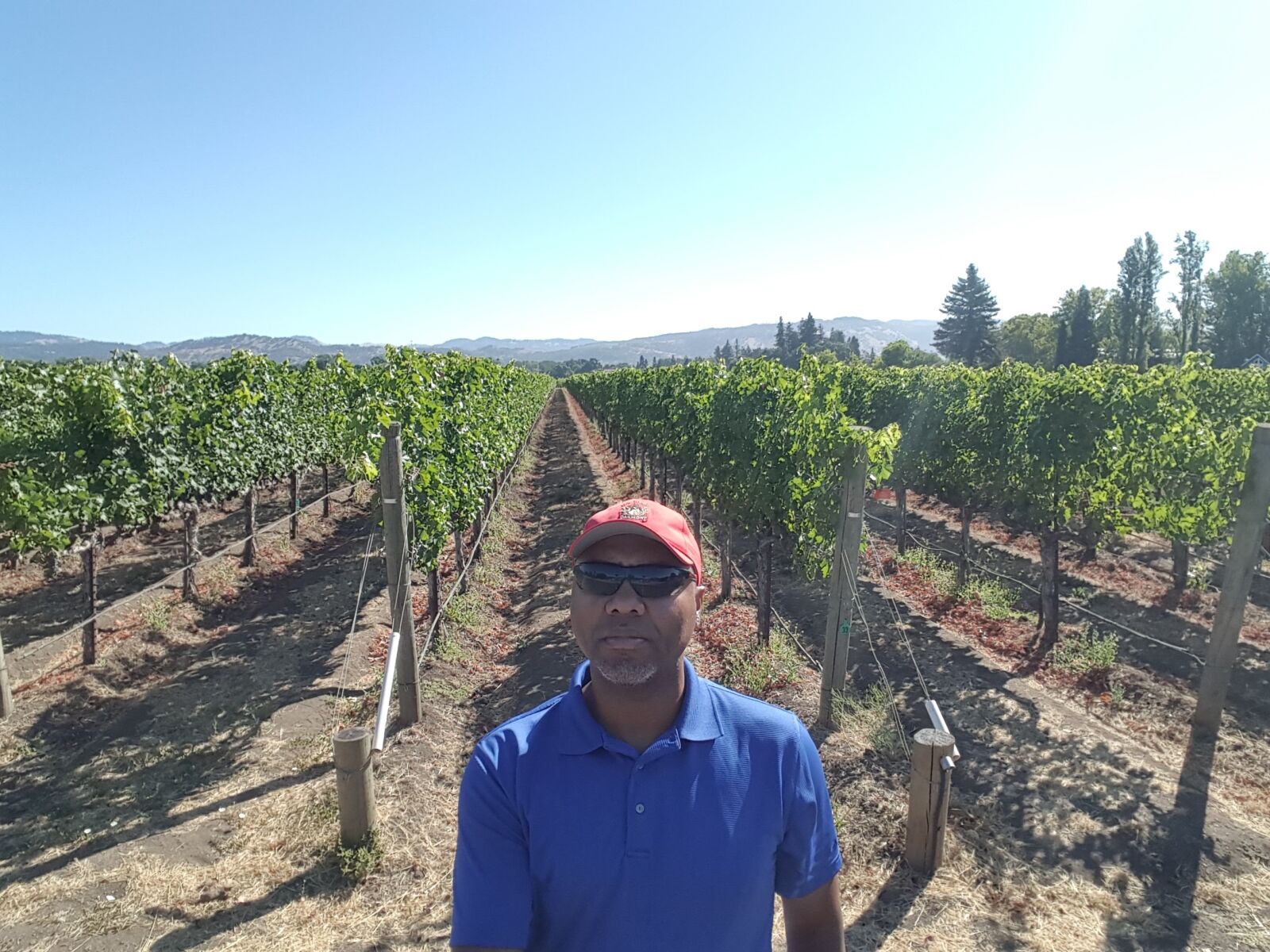 Samsung Galaxy Note5 sample photo. Cakebread, winery, napa, valley photography