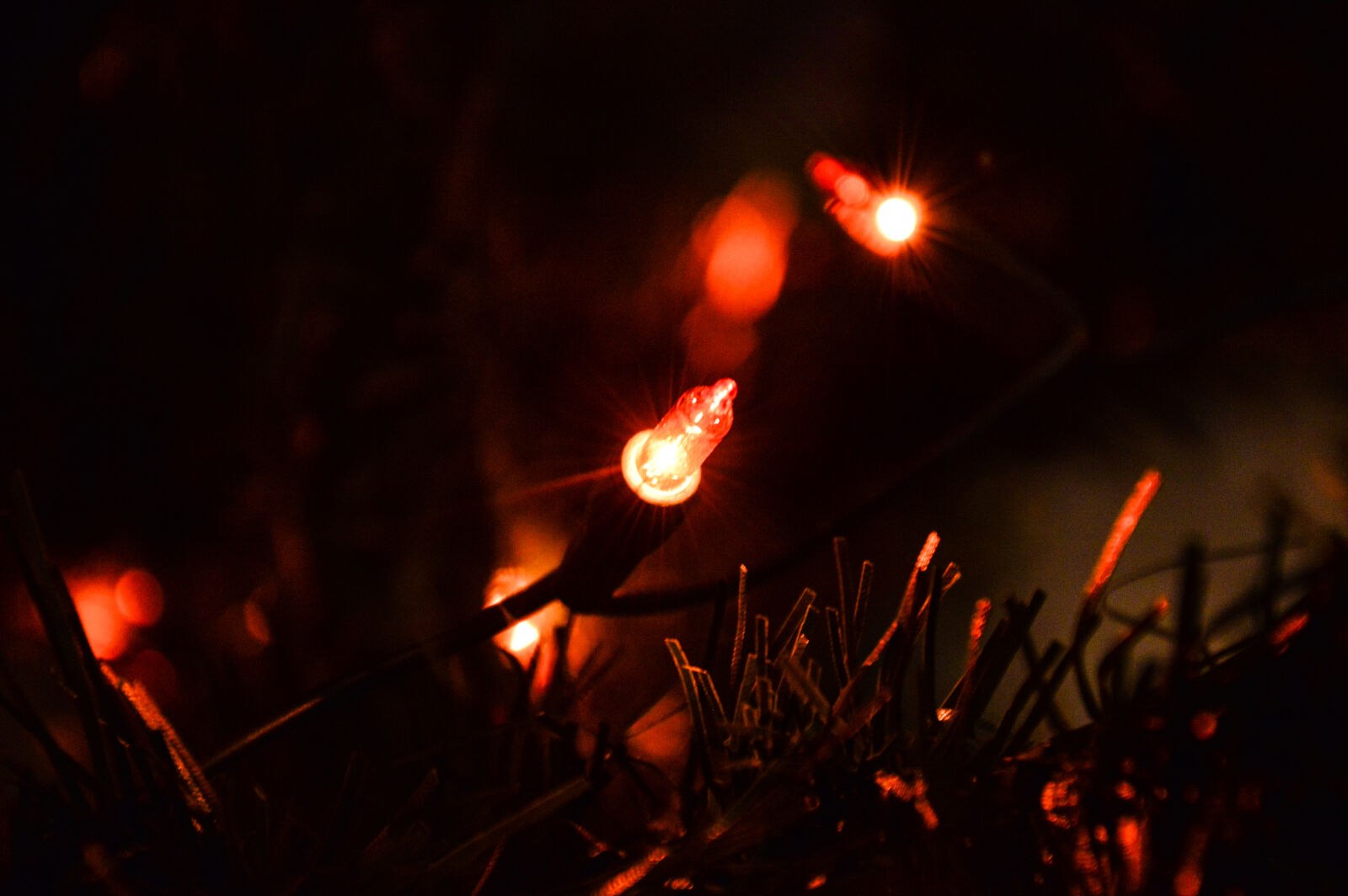 Nikon D3200 sample photo