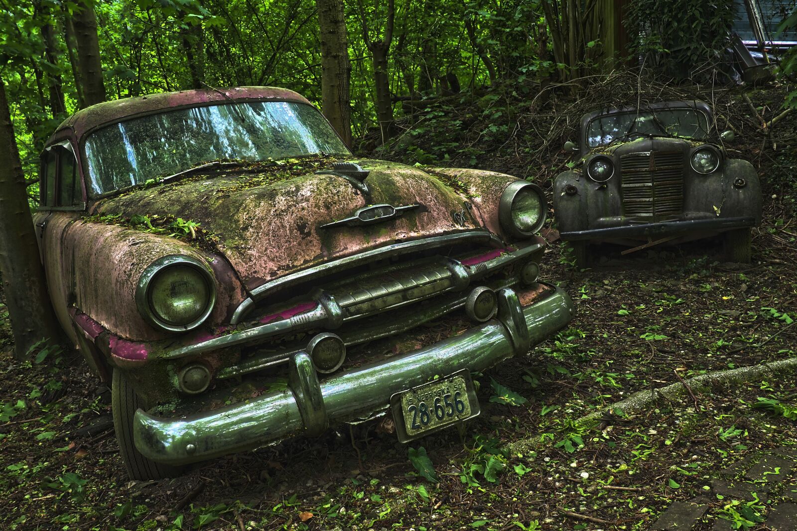 Olympus OM-D E-M10 sample photo. Auto, car cemetery, oldtimer photography
