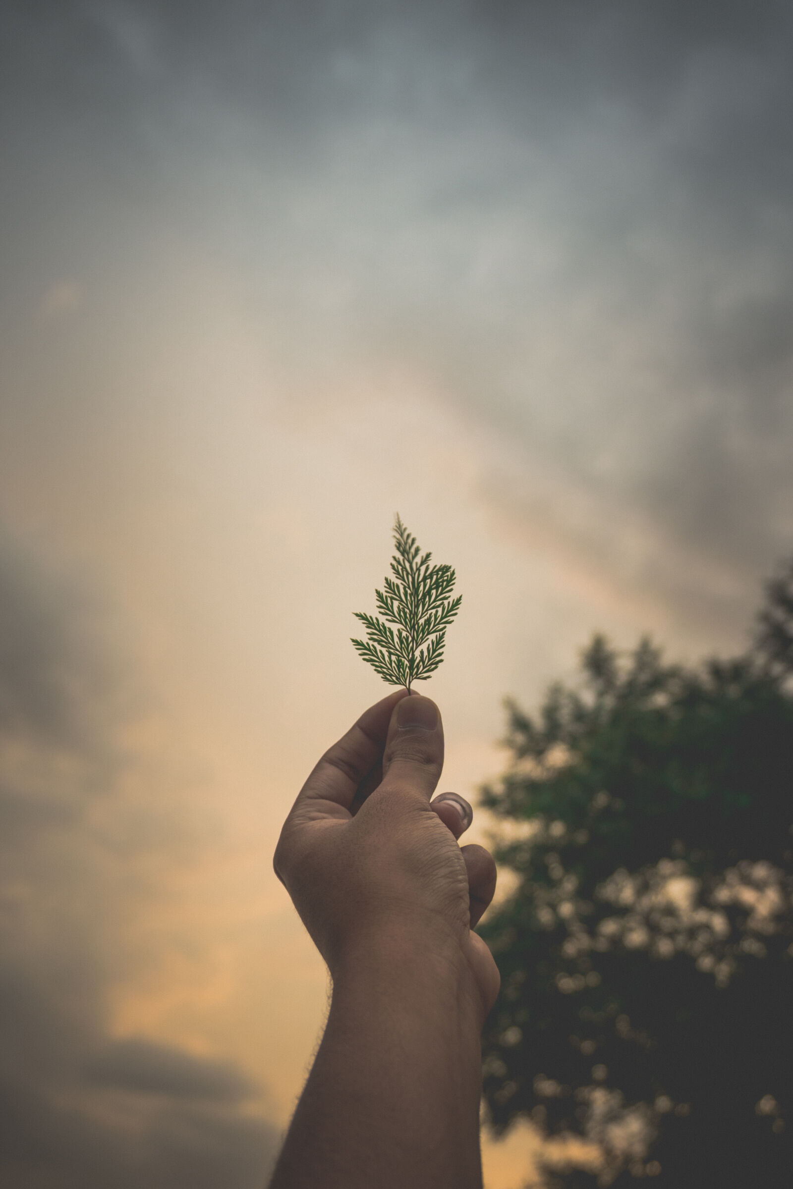 Sony a6300 sample photo. Blur, clouds, dawn, hand photography