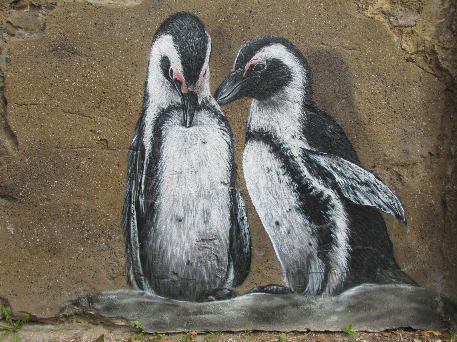 Canon PowerShot SX160 IS sample photo. Penguins, wall art, wall photography