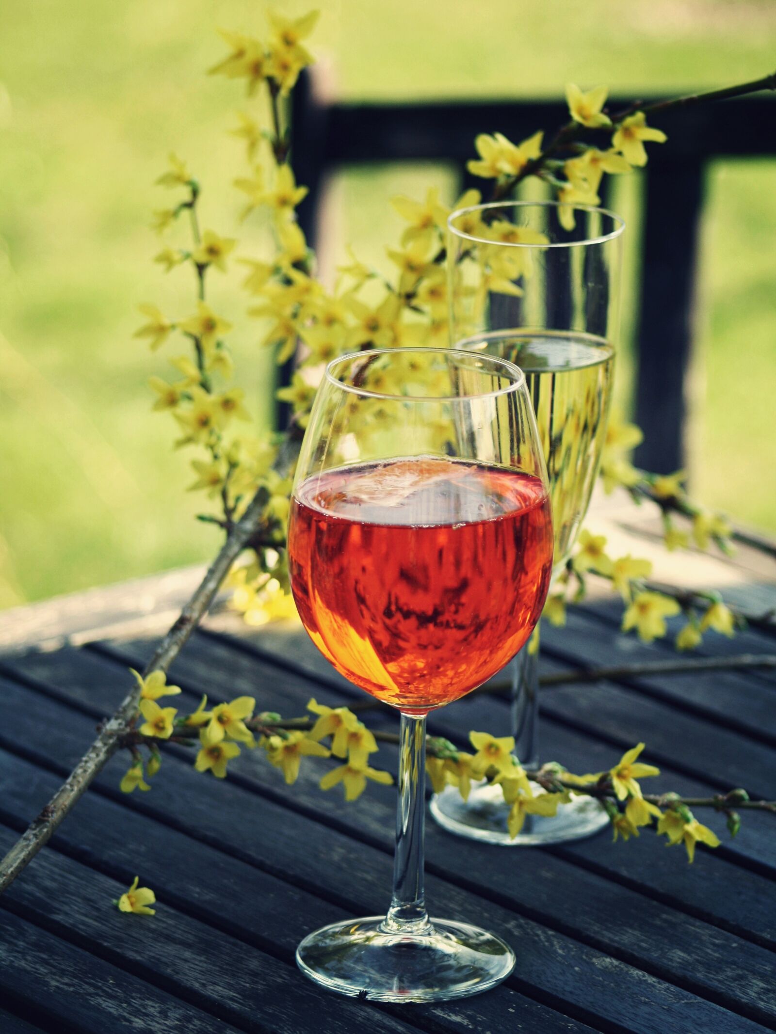 Canon EOS 1000D (EOS Digital Rebel XS / EOS Kiss F) sample photo. Wine, drink, glass photography