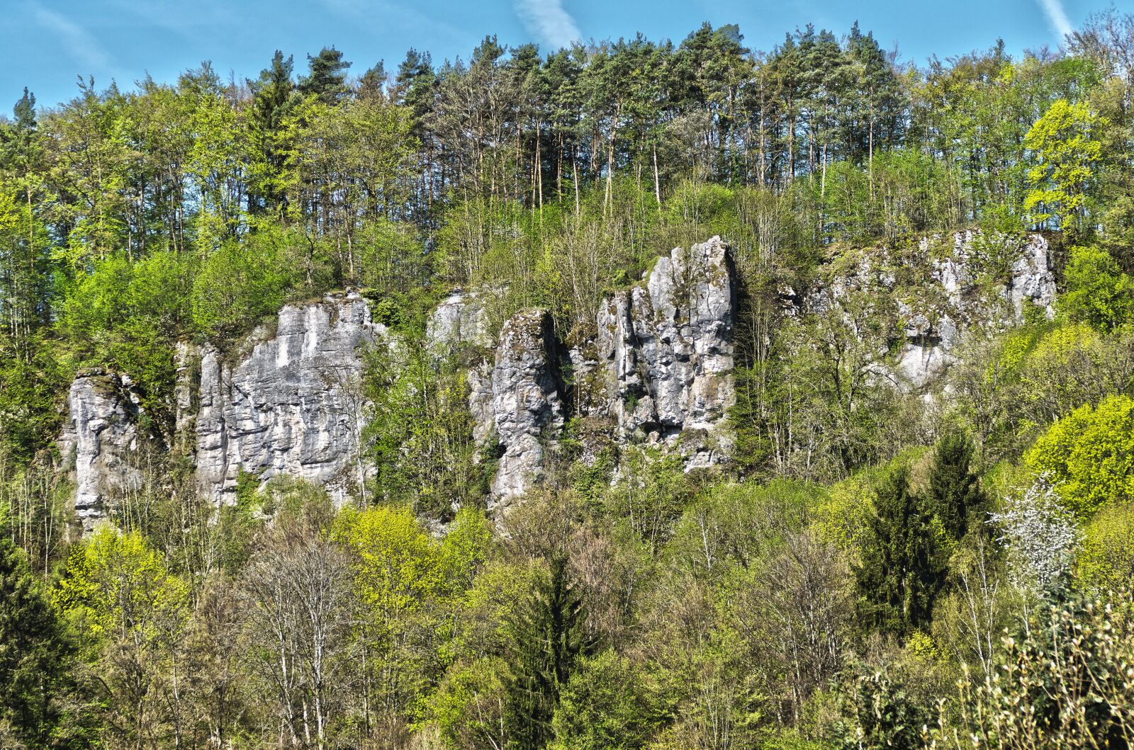 Panasonic Lumix DMC-FZ1000 sample photo. Rock, trees, landscape photography