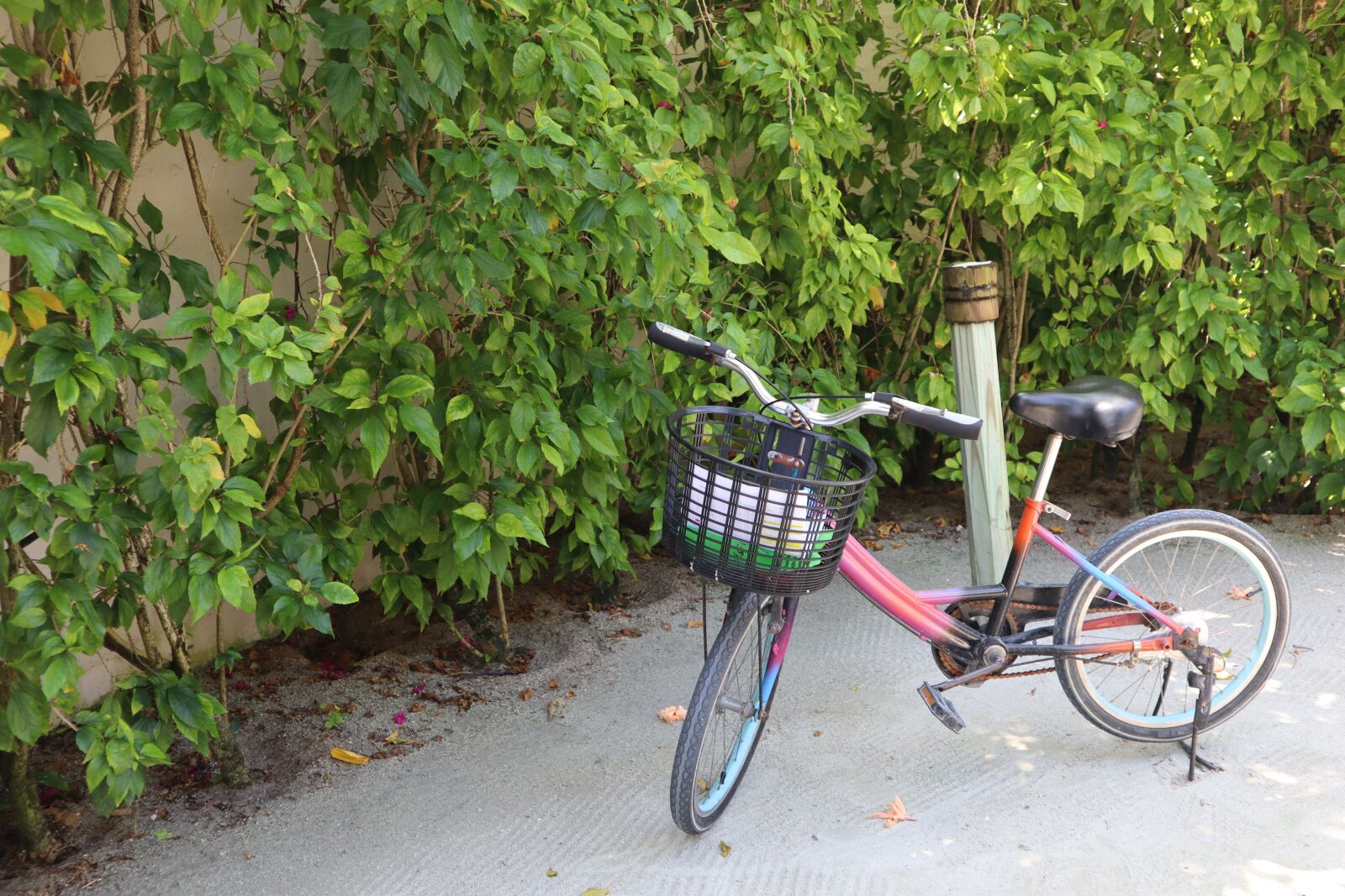Canon EOS M50 (EOS Kiss M) sample photo. Bicycle, alone, cycle photography