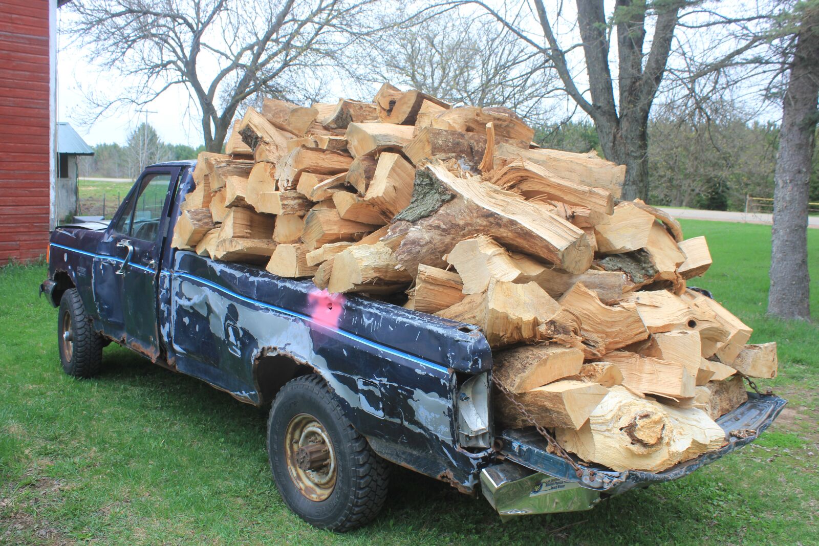 Canon EOS 550D (EOS Rebel T2i / EOS Kiss X4) sample photo. Firewood, wood, overload photography