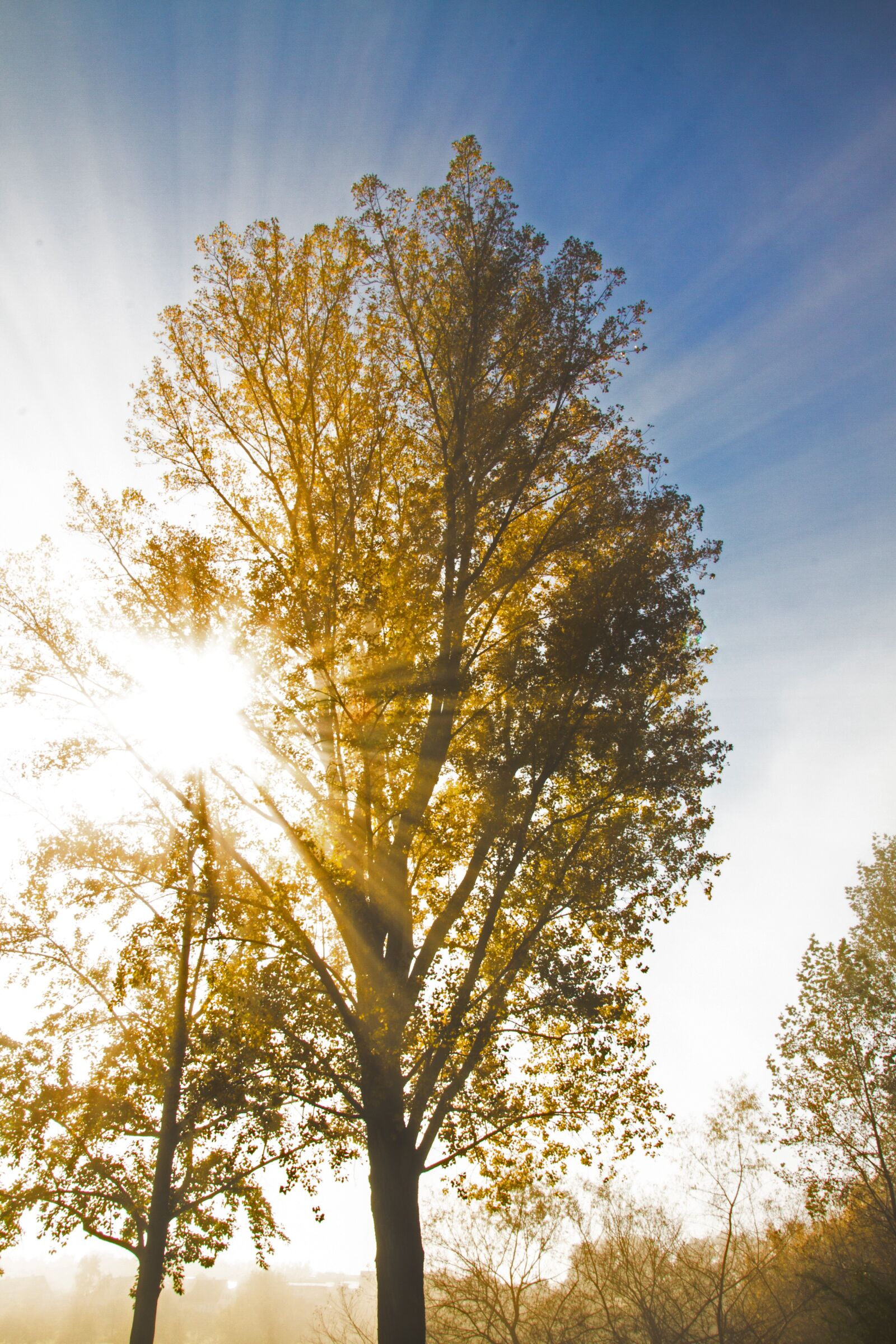 Canon EOS 7D sample photo. Backlighting, autumn, sunbeam photography