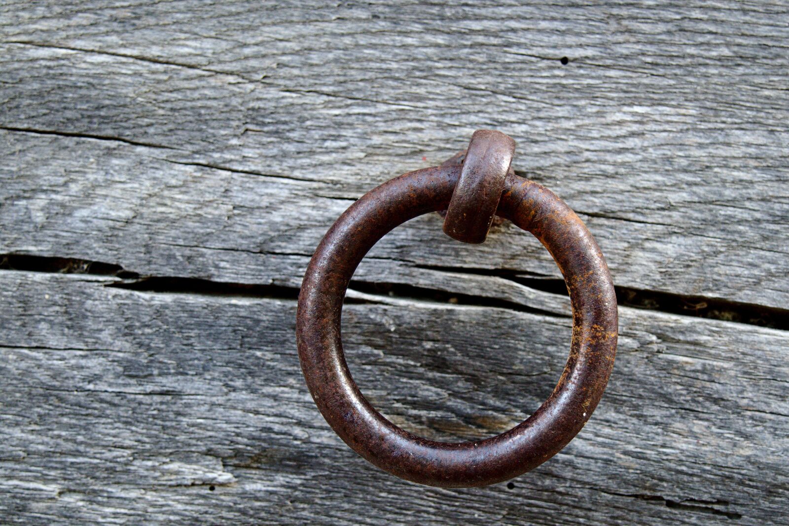 Canon EOS M5 sample photo. Ring, board, wood photography
