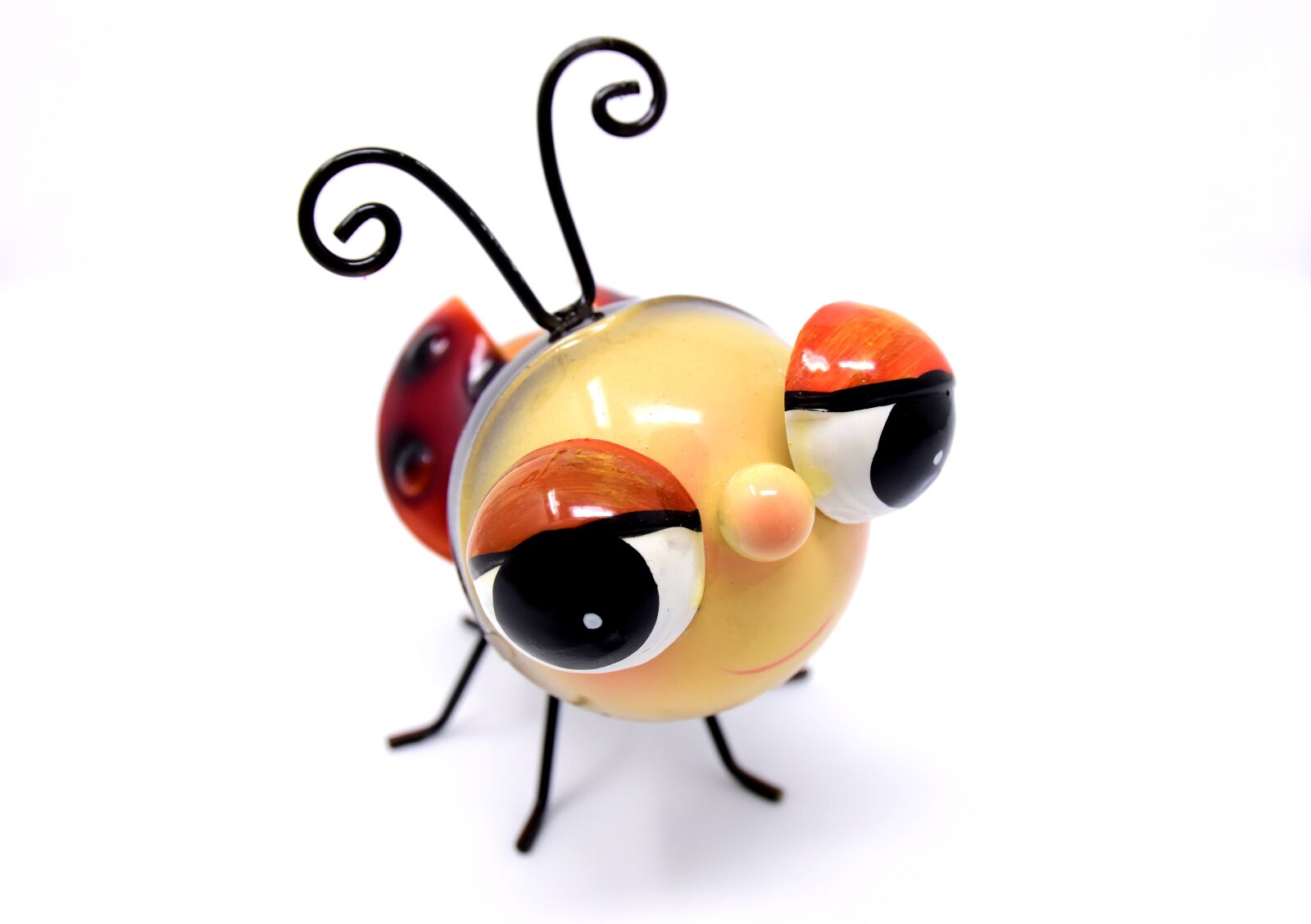 Nikon D7200 sample photo. Ladybug, sheet, figure photography