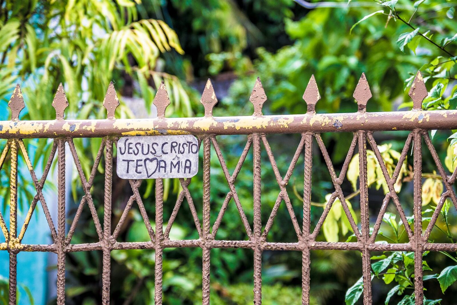 Nikon D3100 sample photo. D3100, fence, message, nikon photography