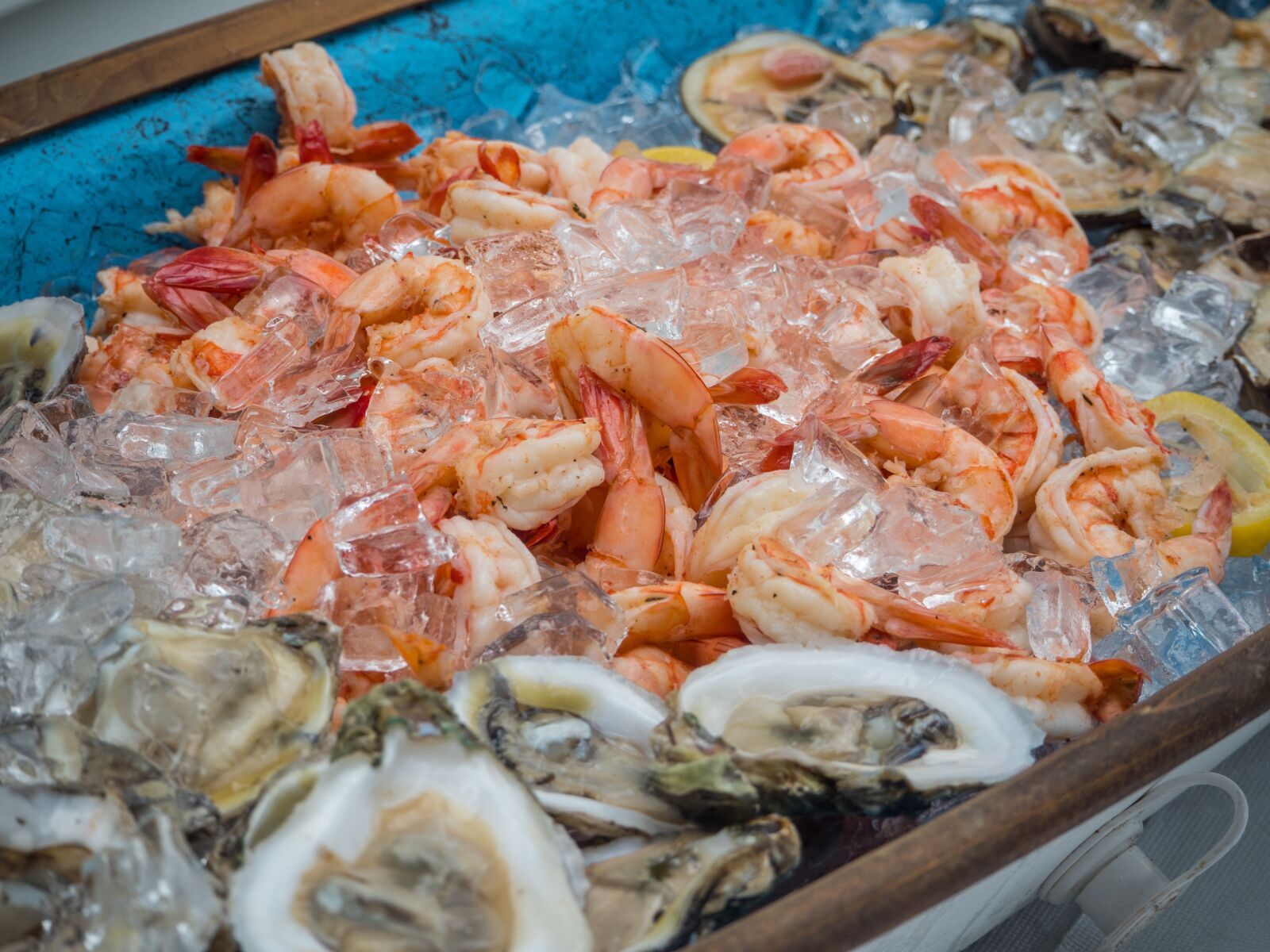 Olympus OM-D E-M1 Mark II sample photo. Shrimp, clams, ice photography