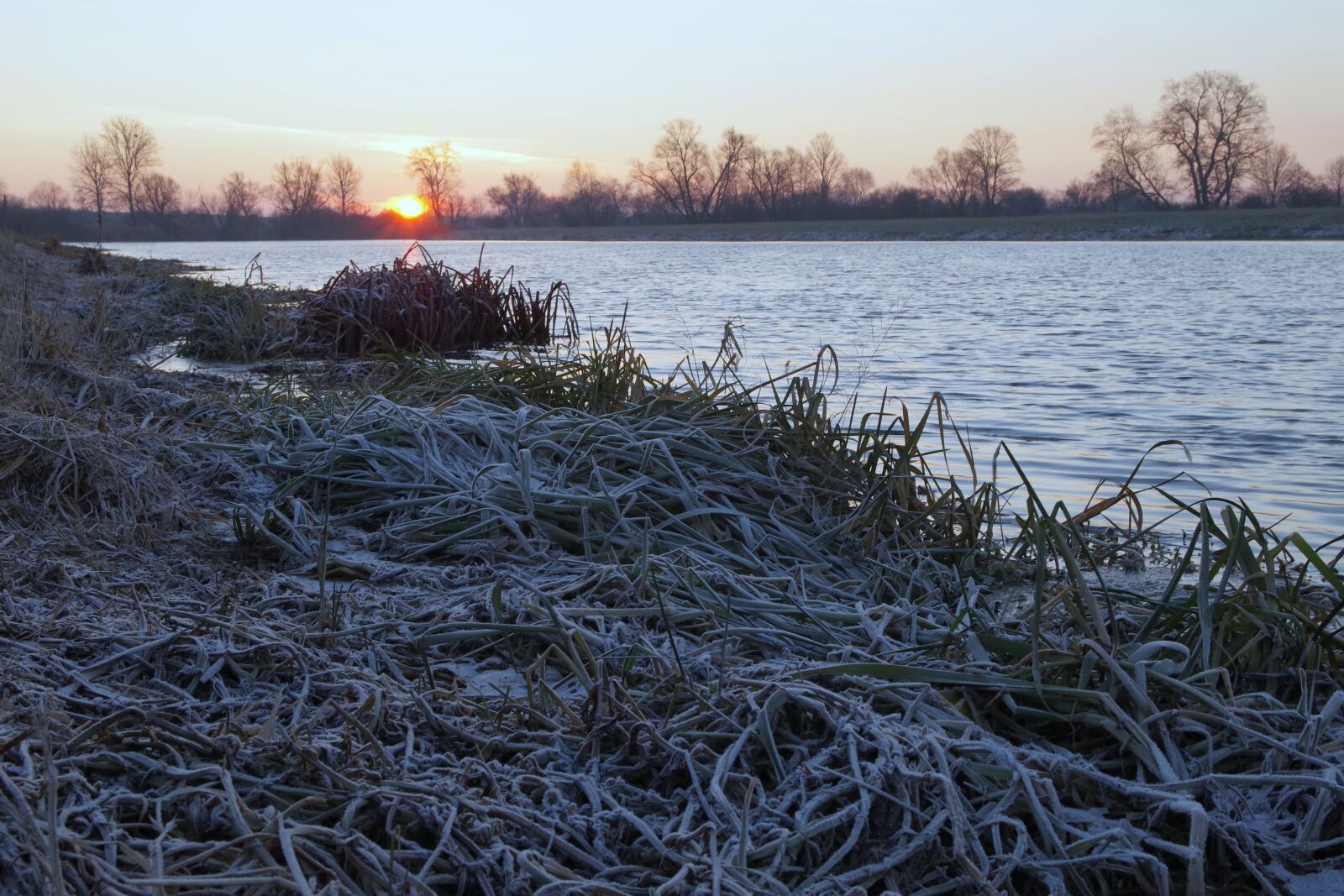 Pentax K-S2 sample photo. Morning, frost, east photography