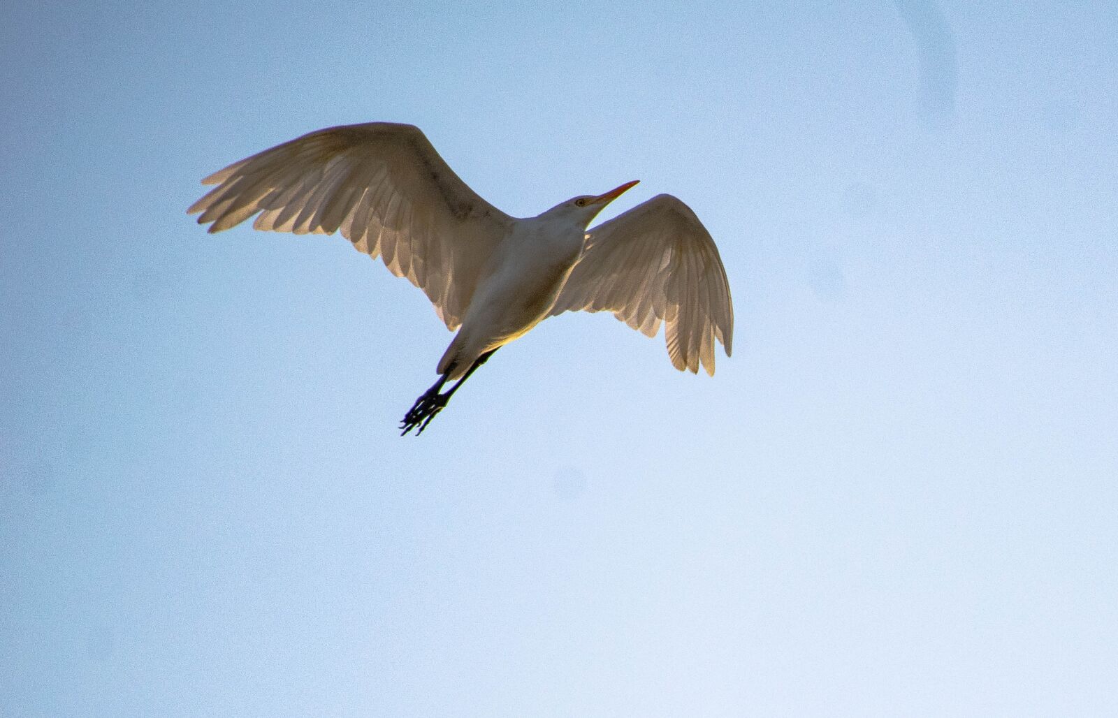 Nikon D3300 sample photo