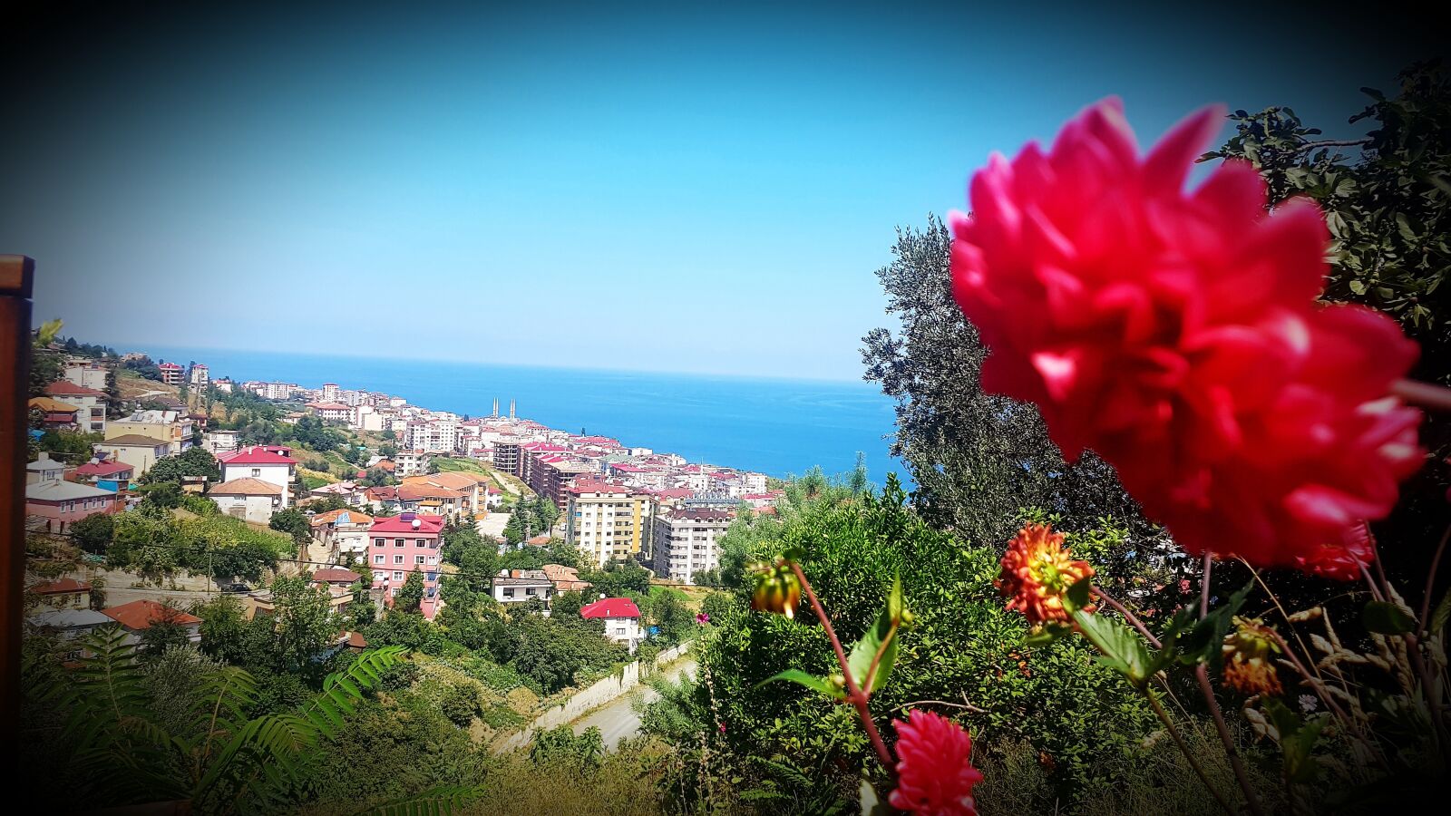 Samsung Galaxy S7 Edge sample photo. Flower, houses, spring photography