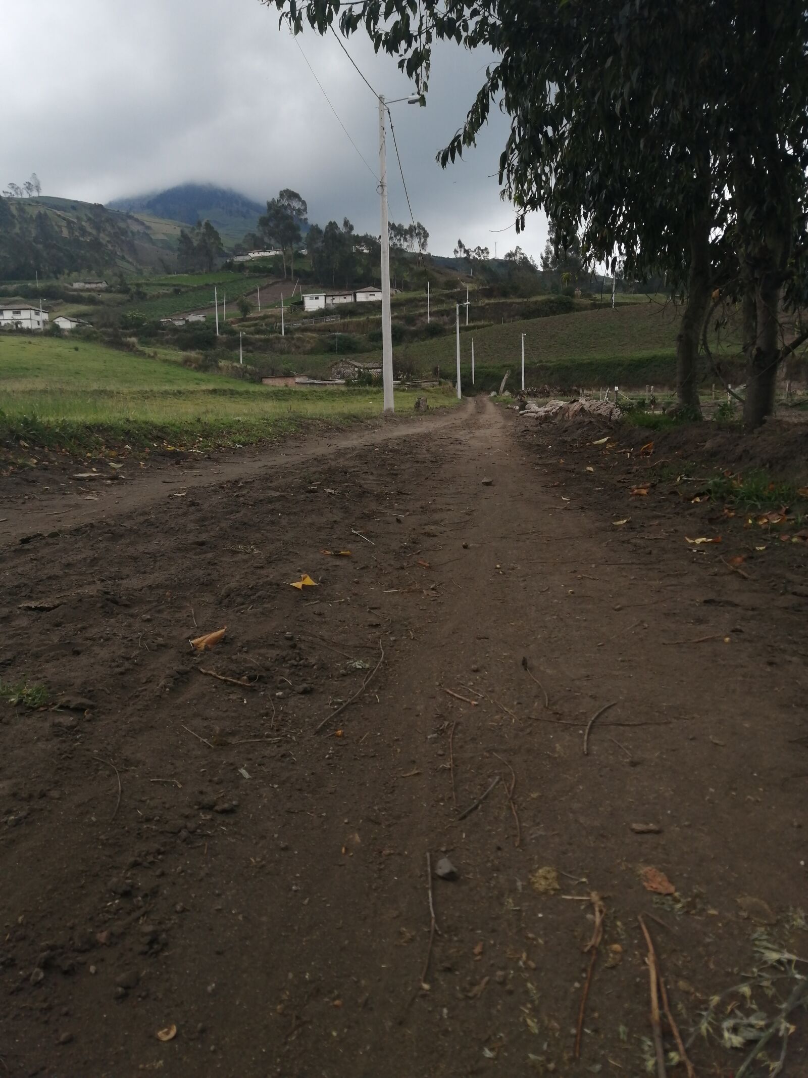 HUAWEI P30 LITE sample photo. Path, earth, agriculture photography