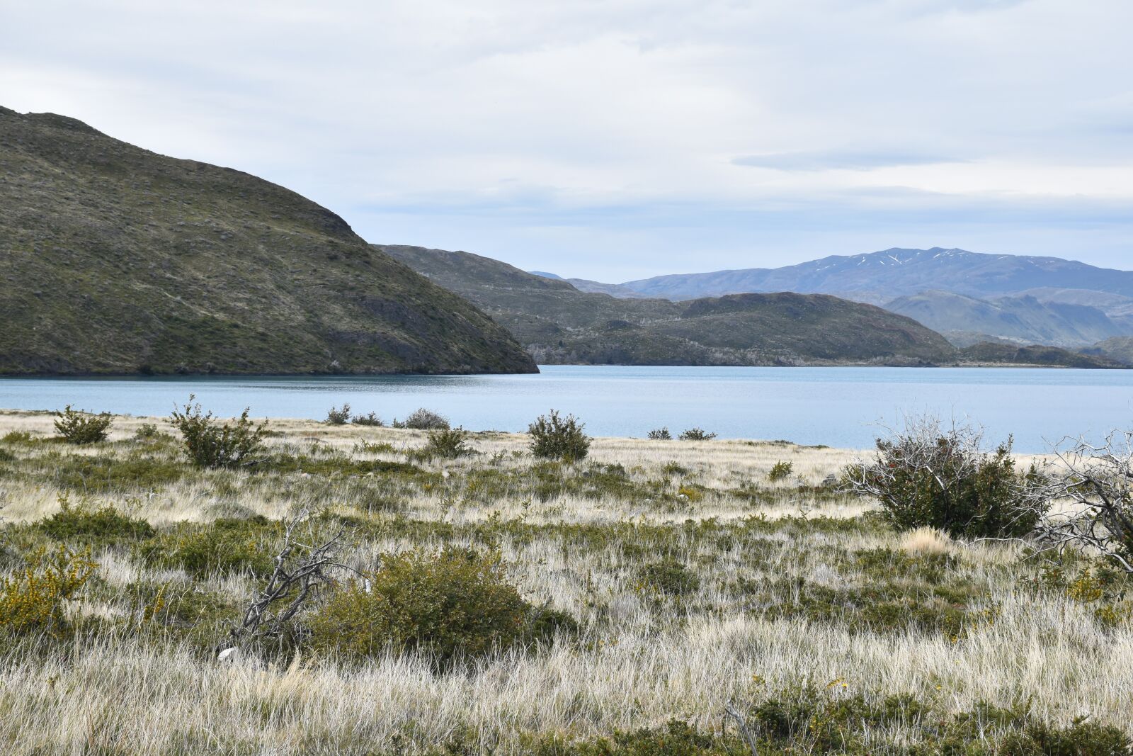 Nikon D5500 sample photo. Patagonia, torres del paine photography