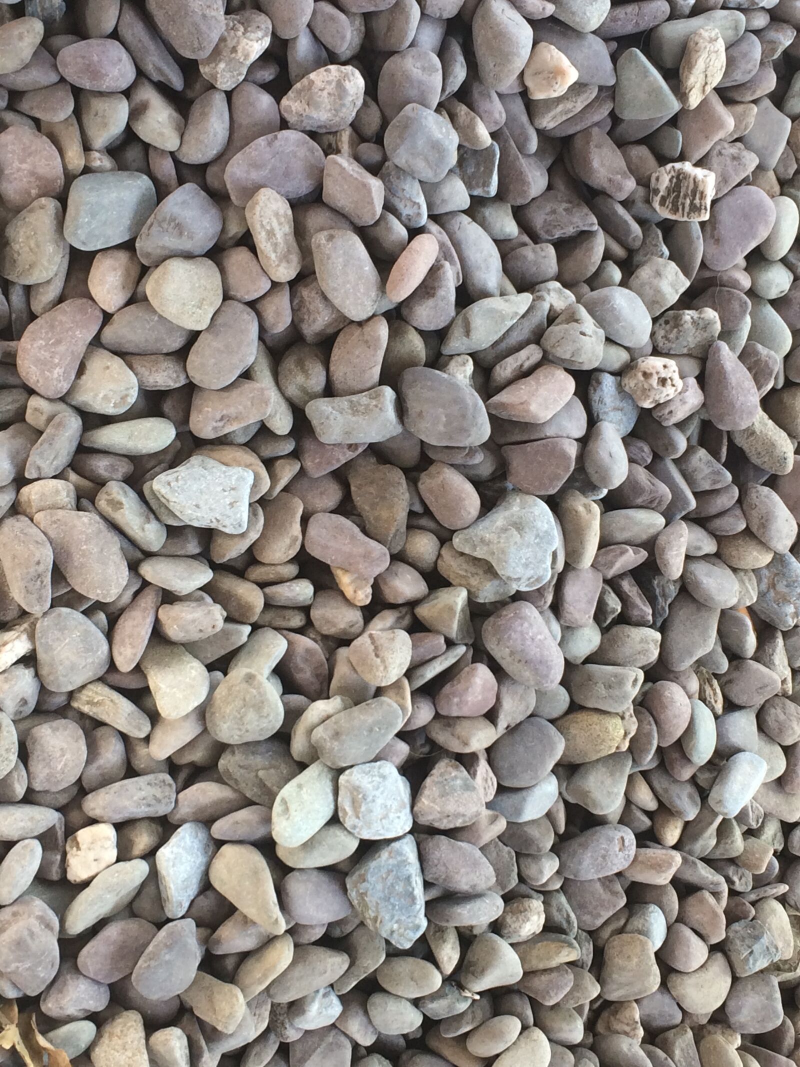 iPhone 5s back camera 4.15mm f/2.2 sample photo. Stones, pebble, pebbles photography