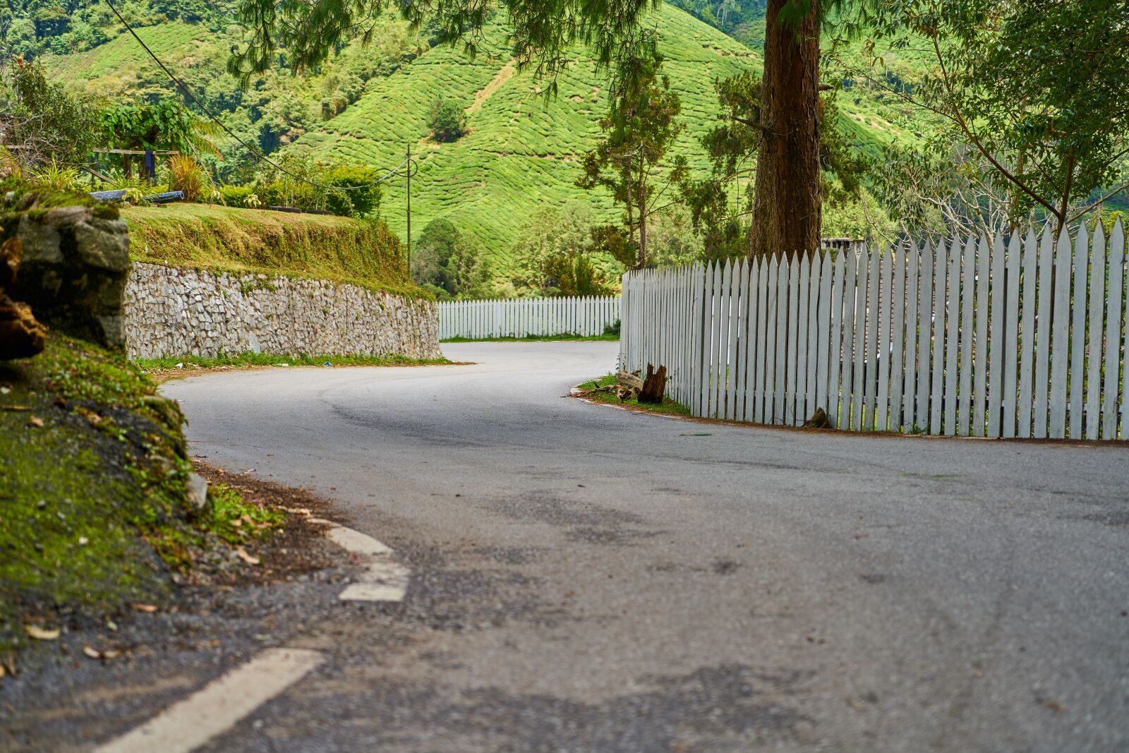 Sony a7R II sample photo. Road, fence, asphalt photography