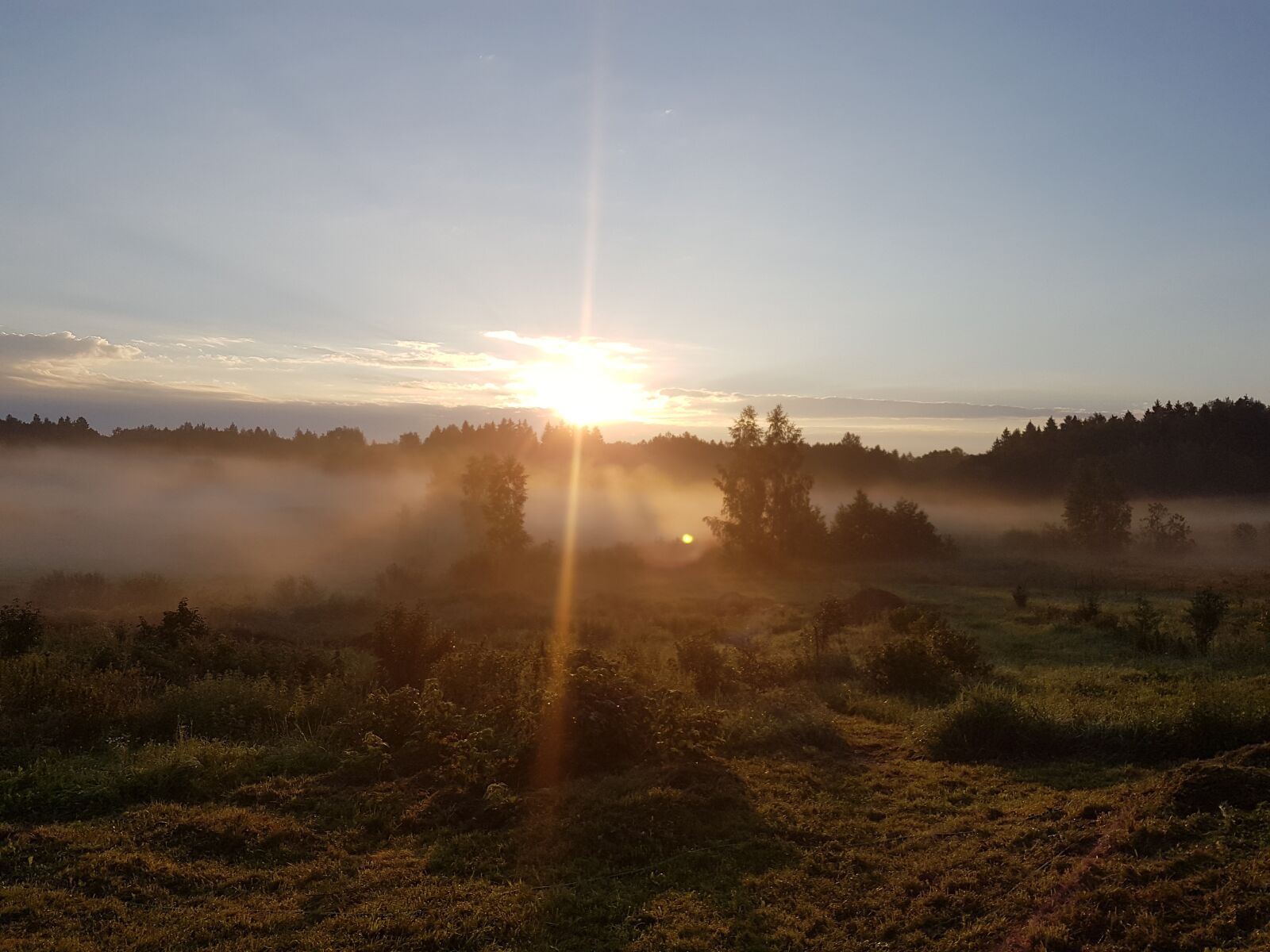 Samsung Galaxy S7 sample photo. Nature, morning, sunshine photography