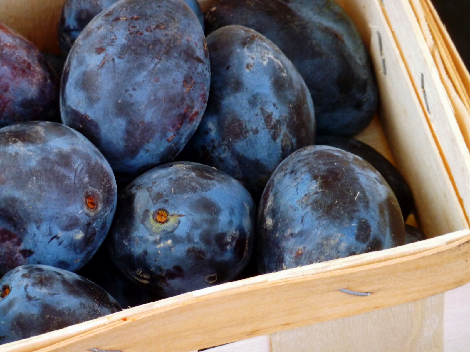 Panasonic DMC-TZ7 sample photo. Plums, fruit, fruits photography