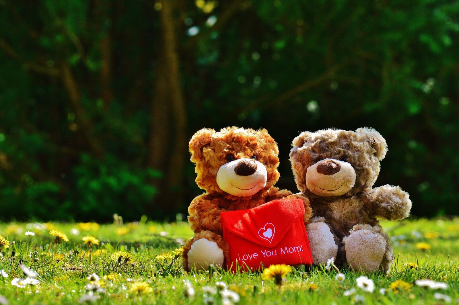 Nikon D3200 sample photo. Teddy, mother's day, love photography