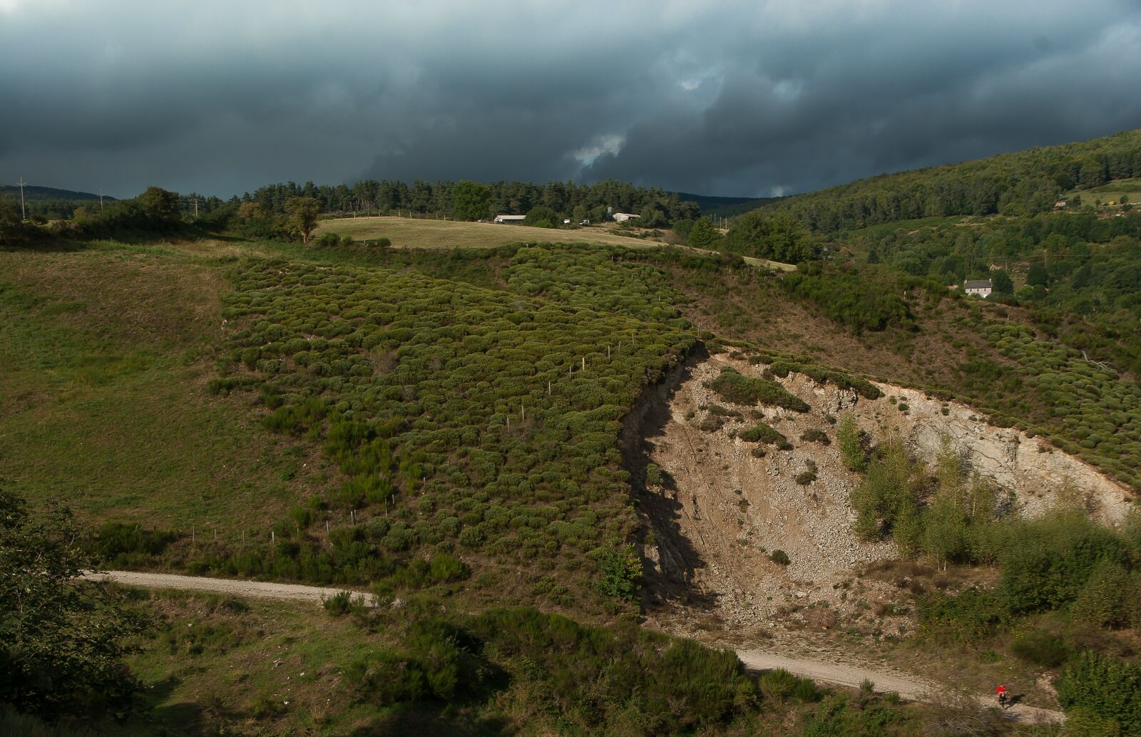 Pentax K10D sample photo. Lozère, pastures, forest photography