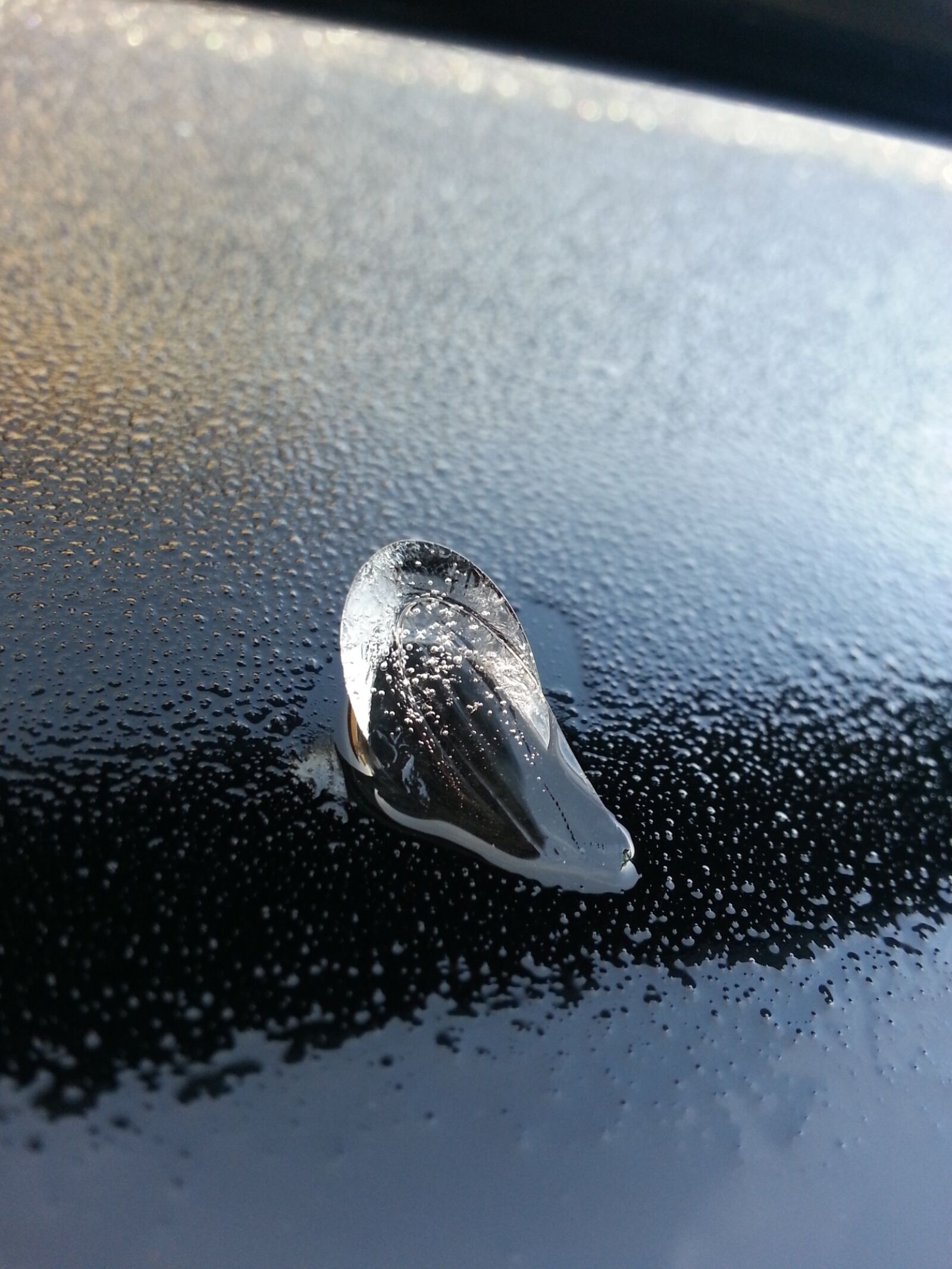 Samsung Galaxy S3 sample photo. Nature, winter, frost photography