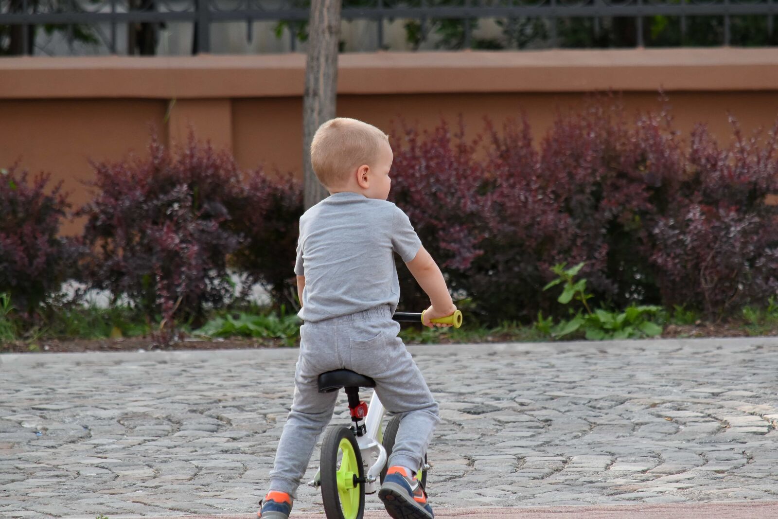 Nikon D5500 sample photo. Boy, vehicle, child, fun photography