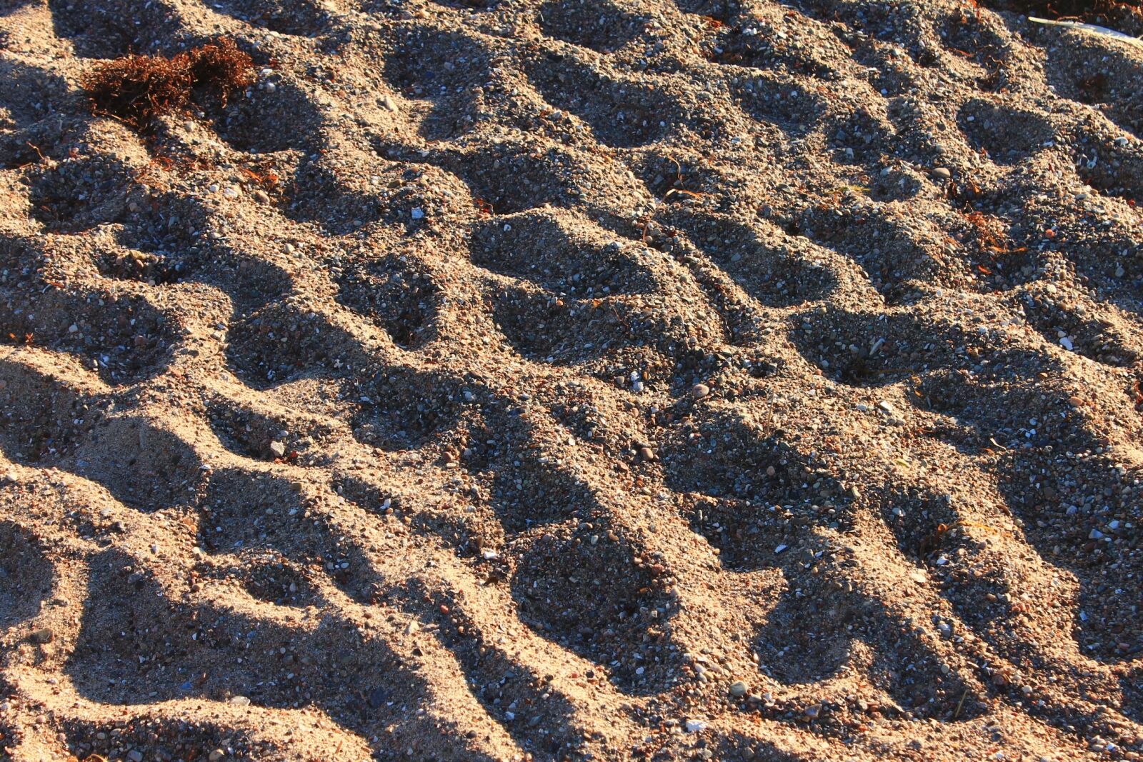 Canon EOS 1100D (EOS Rebel T3 / EOS Kiss X50) sample photo. Sand, beach, evening light photography