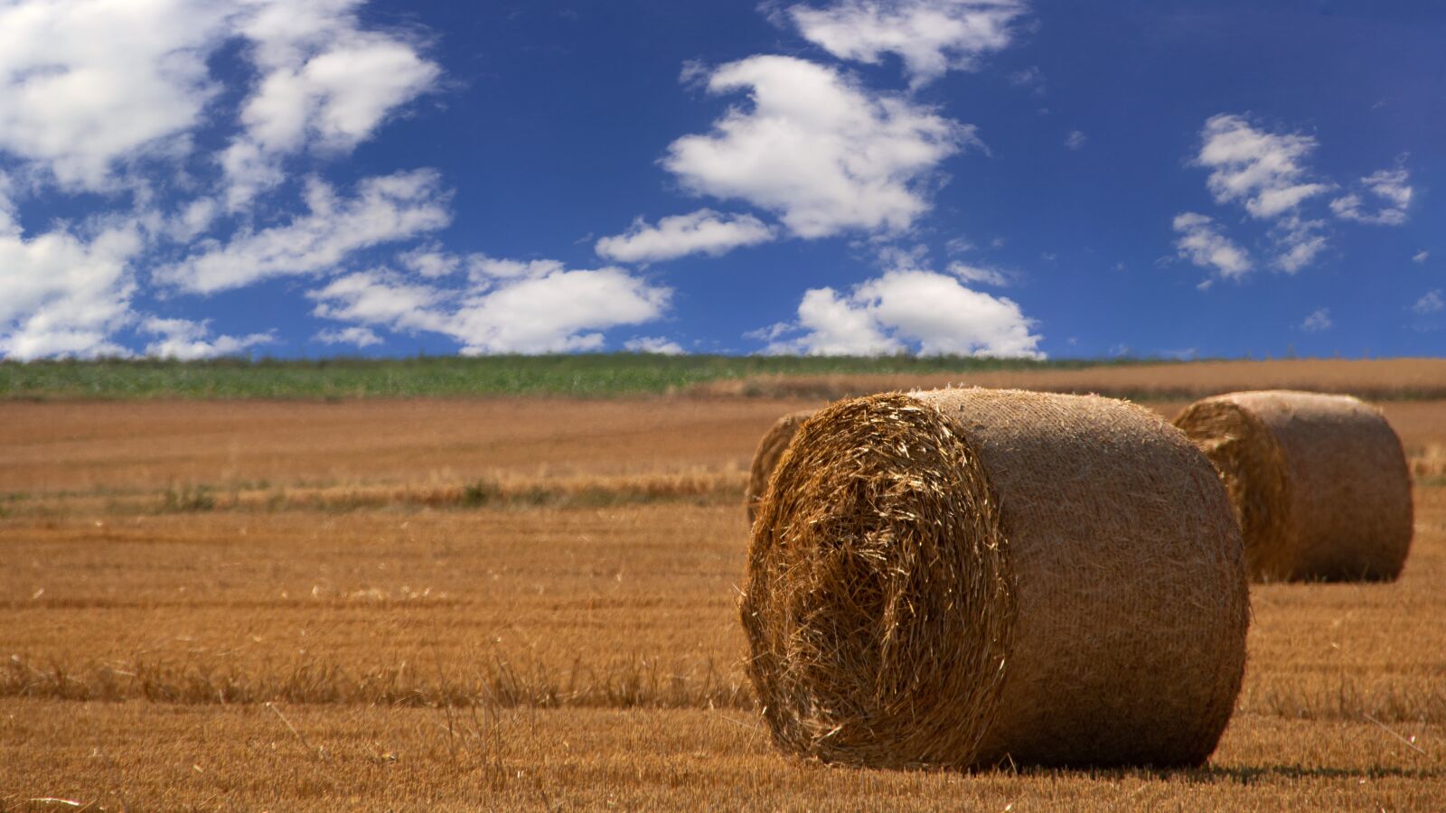 Canon EOS 750D (EOS Rebel T6i / EOS Kiss X8i) sample photo. Straw bales, arable, meadow photography