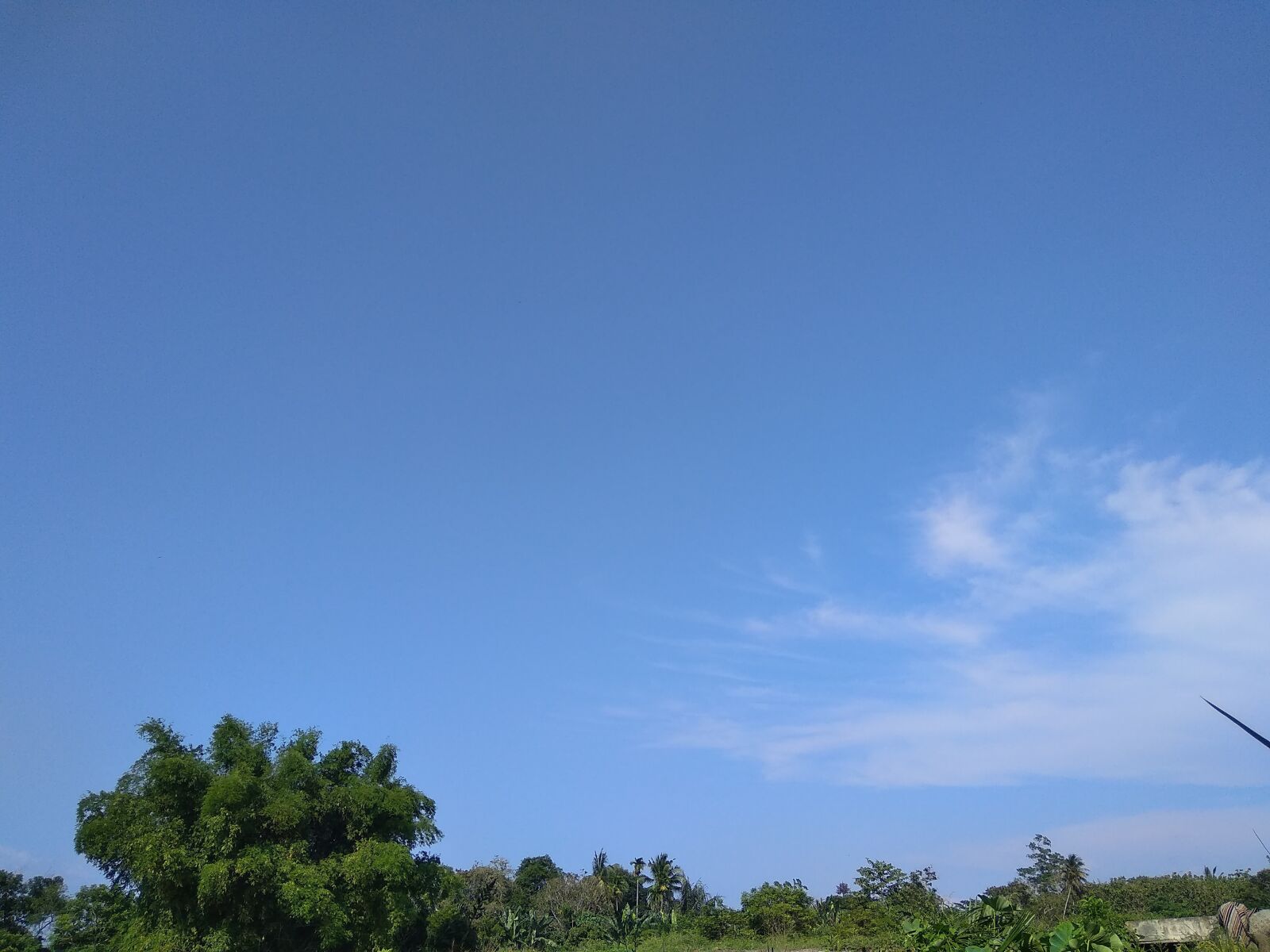 Xiaomi Redmi 5A sample photo. Cloud, field, farmer photography