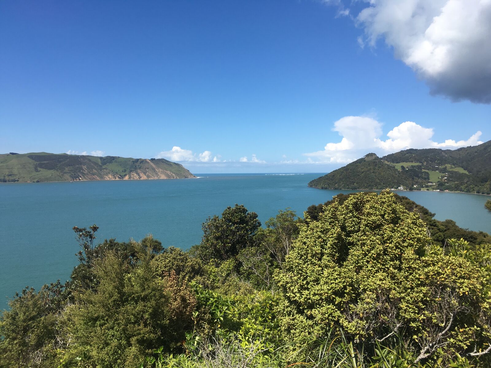 iPhone SE back camera 4.15mm f/2.2 sample photo. Whangarei, ocean, view photography
