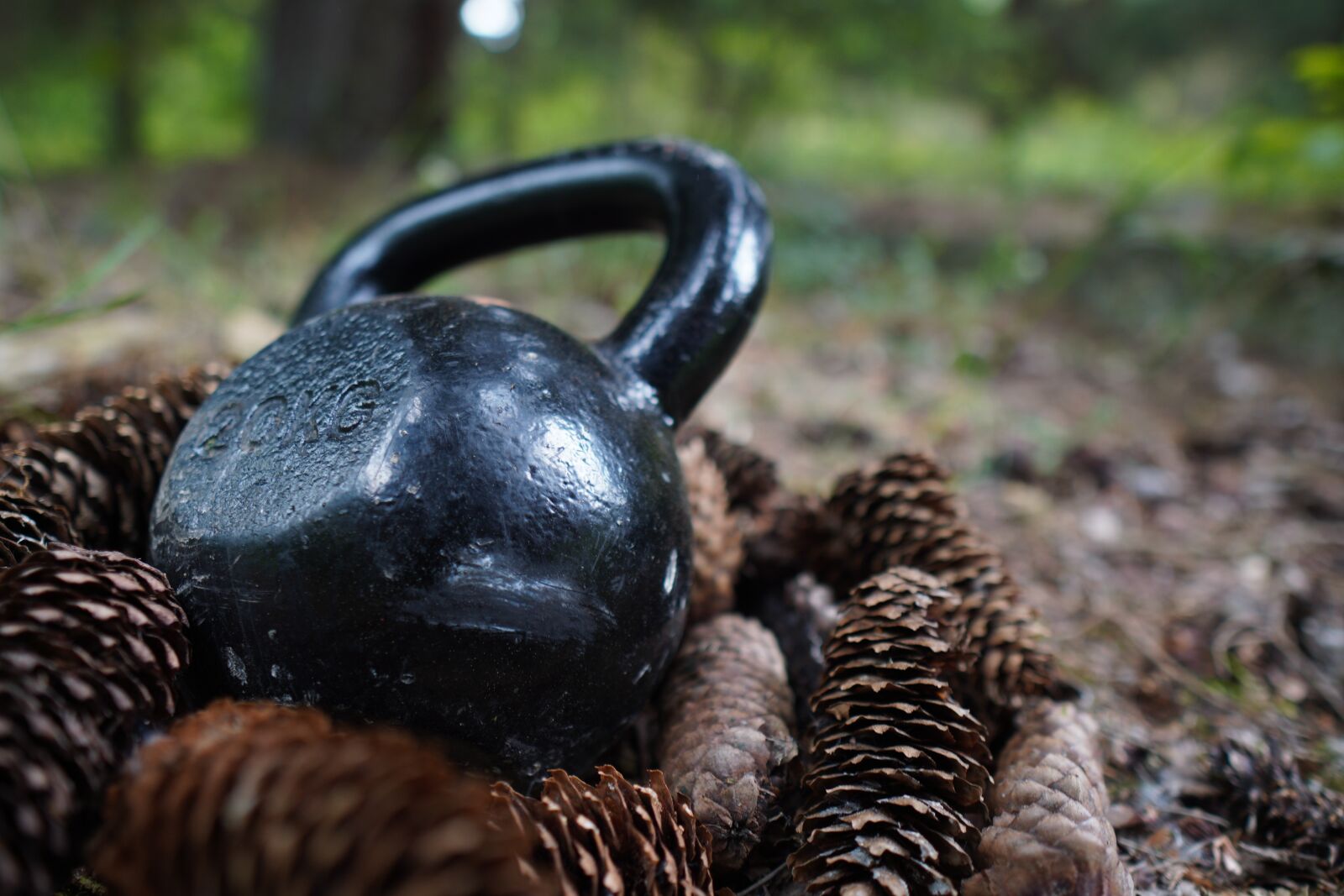 Sony a6400 + Sigma 16mm F1.4 DC DN | C sample photo. Carnivore, kettlebell, trening photography