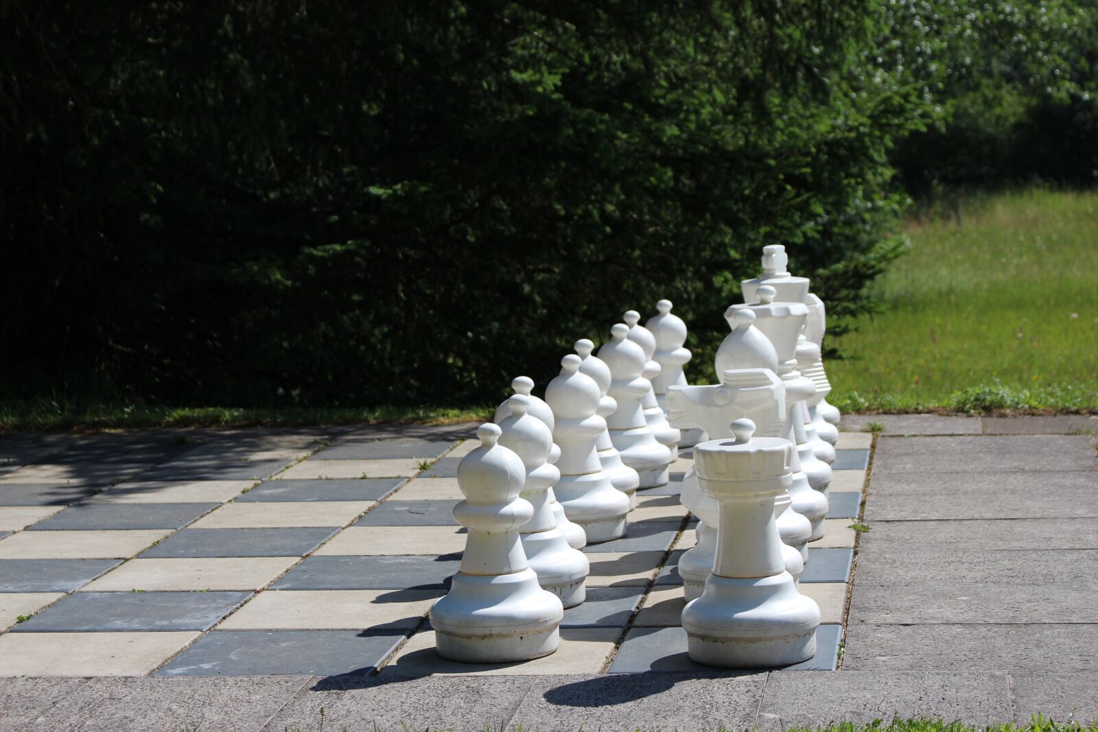 Canon EOS 700D (EOS Rebel T5i / EOS Kiss X7i) sample photo. Chess, chess board, park photography