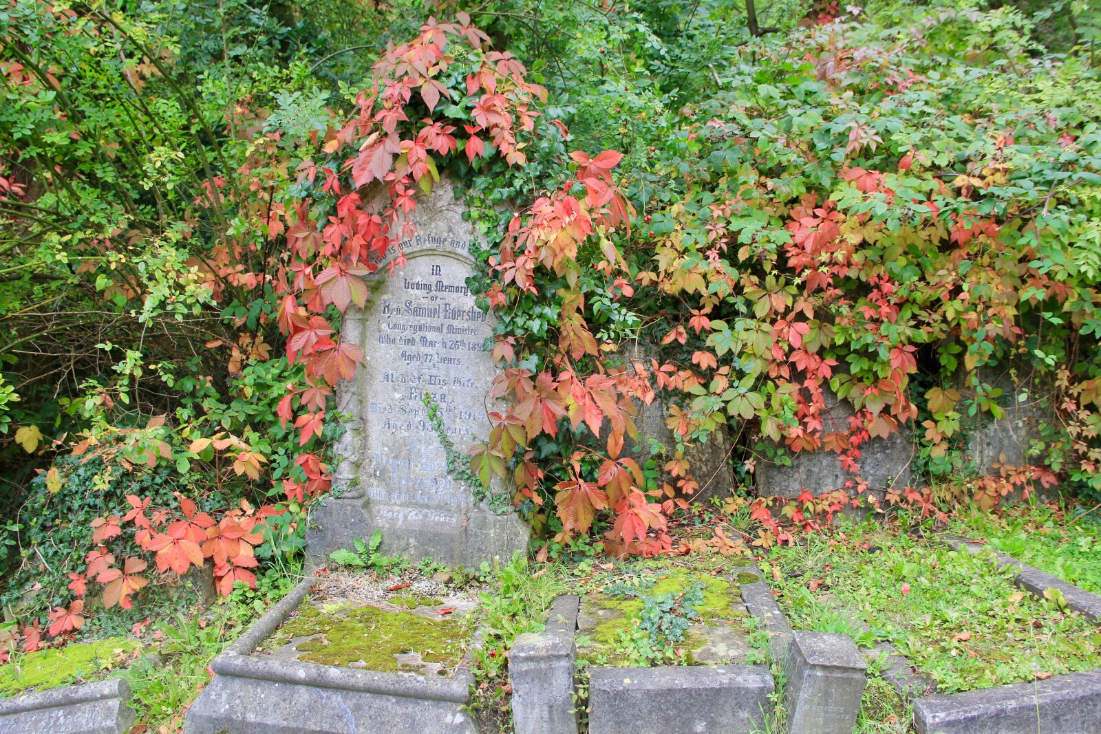 Canon EOS 60D sample photo. Graveyard, fall, autumn photography