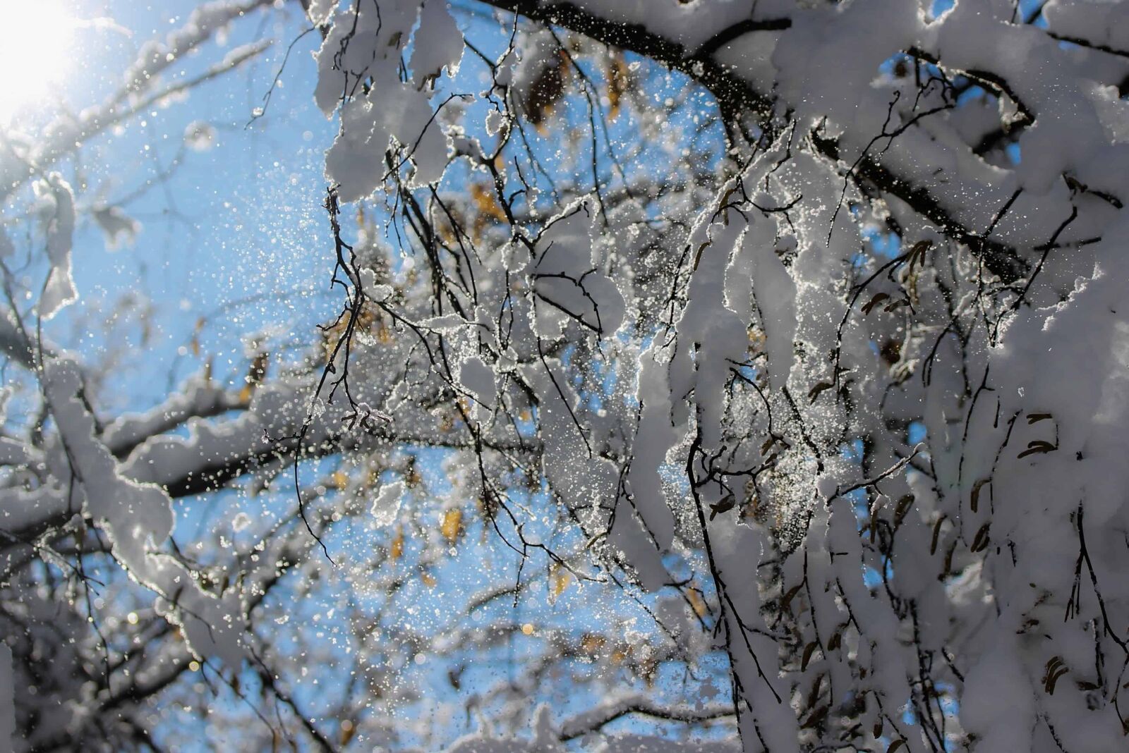 Canon EOS 1100D (EOS Rebel T3 / EOS Kiss X50) sample photo. Landscape, nature, snow, winter photography