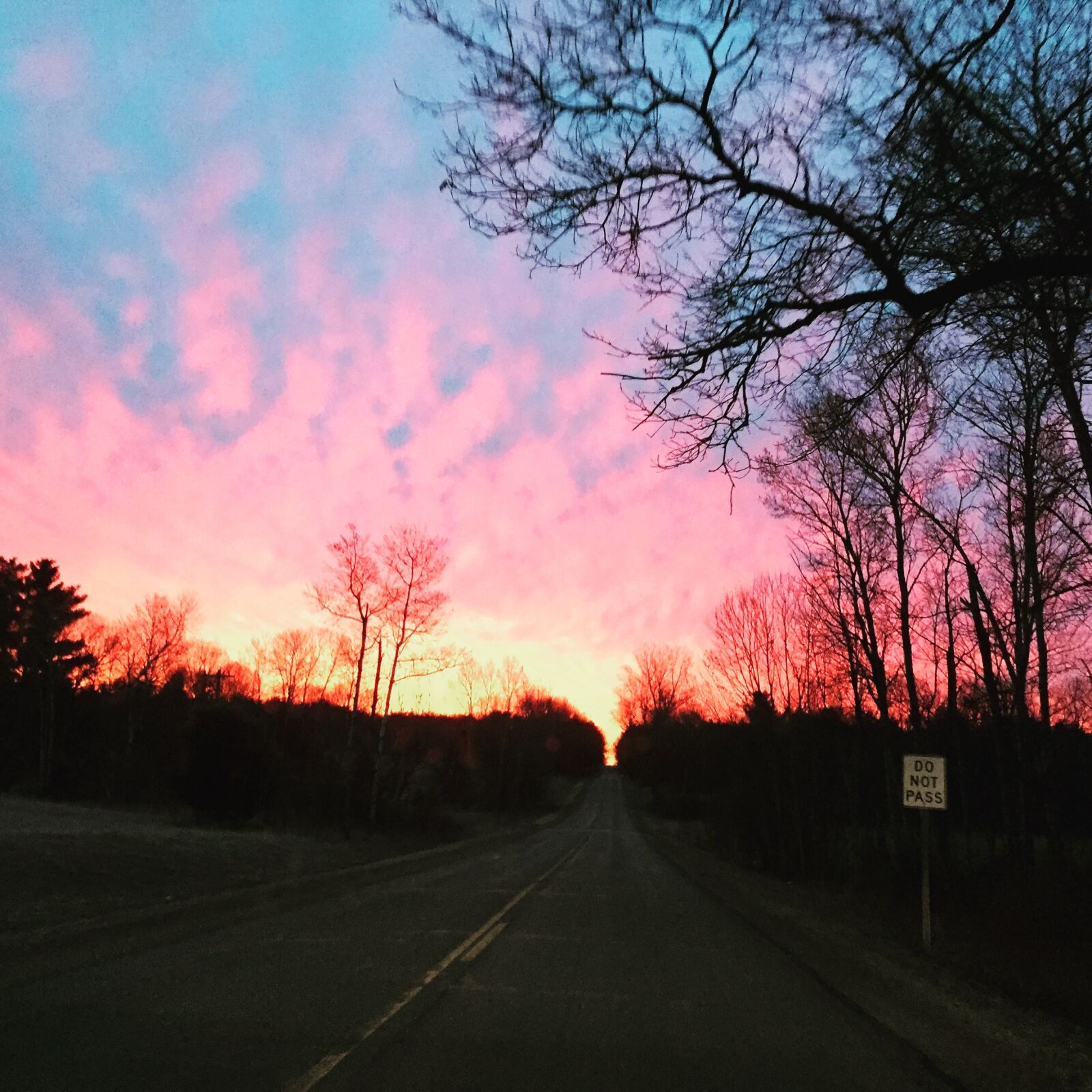 Apple iPhone 6 sample photo. Morning, drive photography
